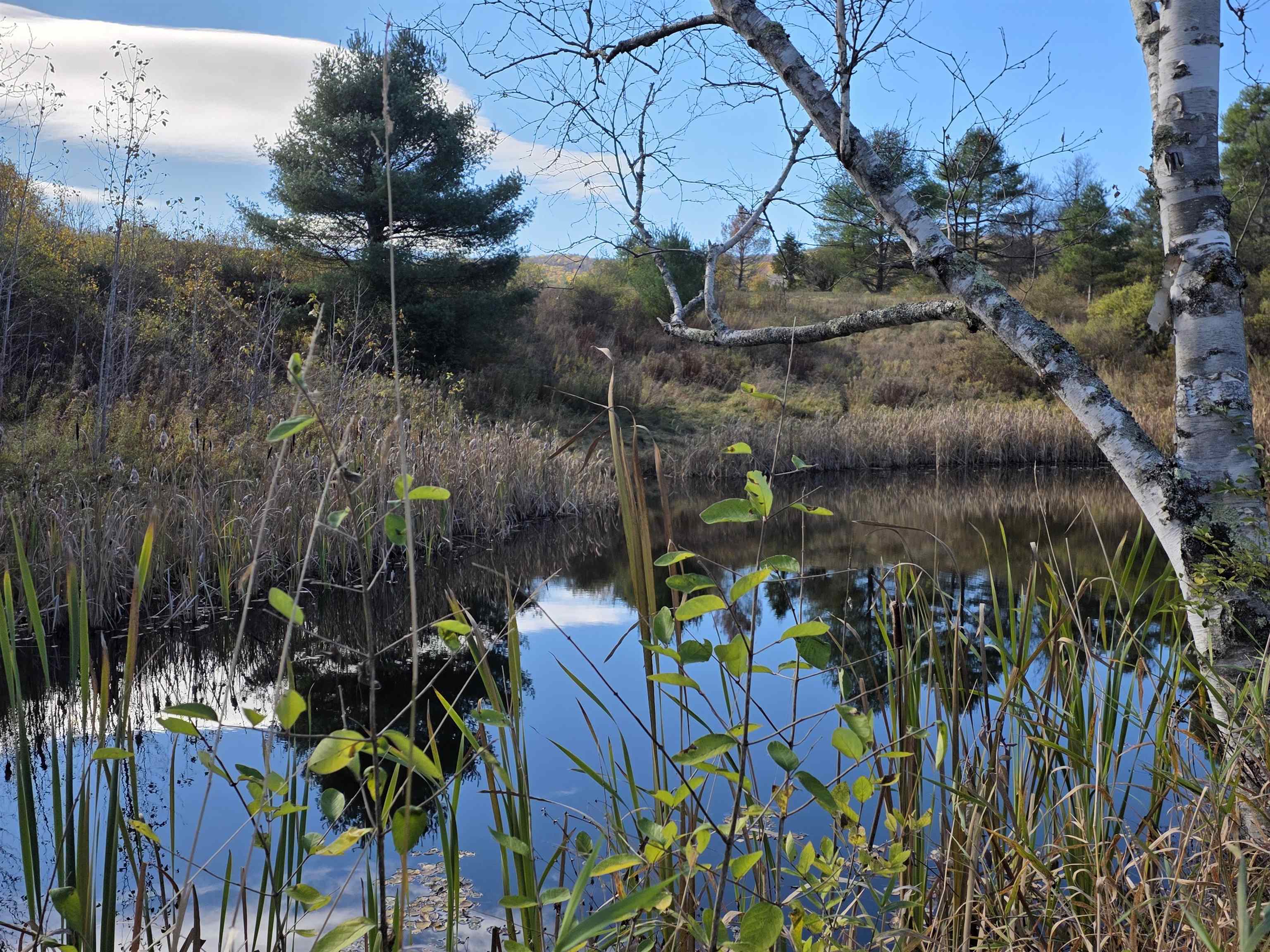 000 Us Route 2 Property Photo 31