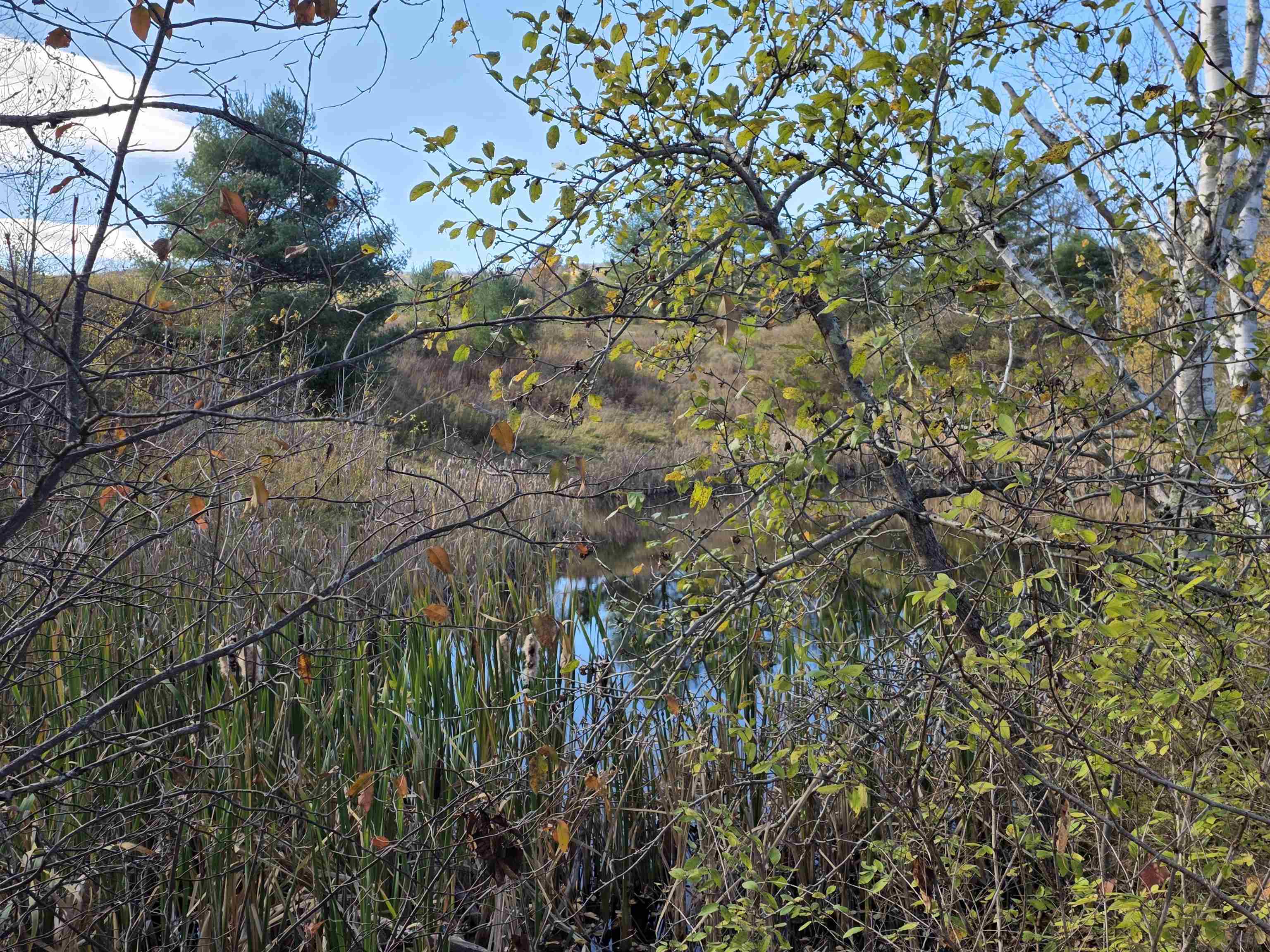 000 Us Route 2 Property Photo 32