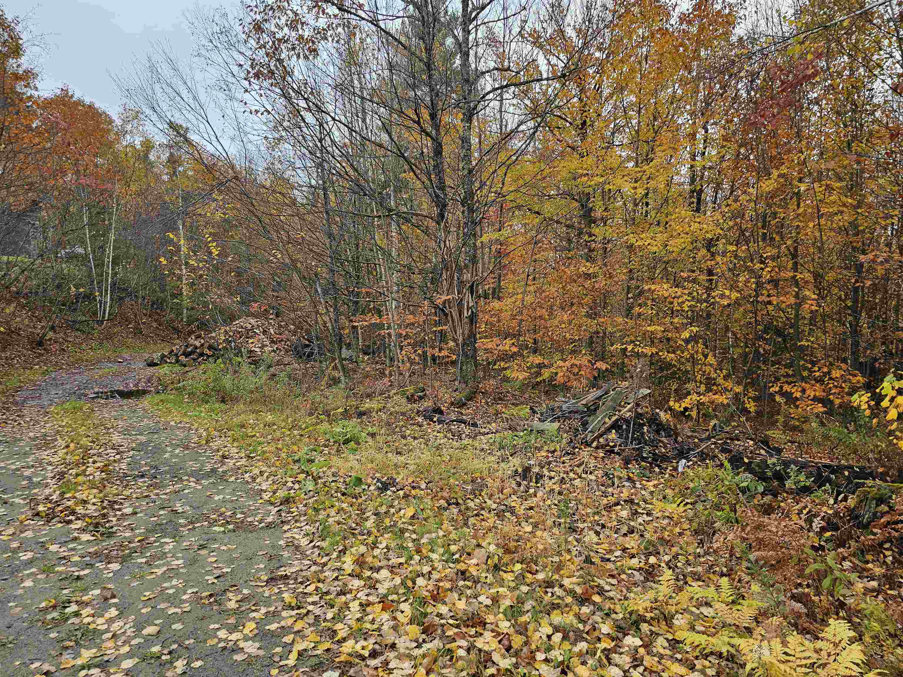 115 Prior Road Property Photo 38