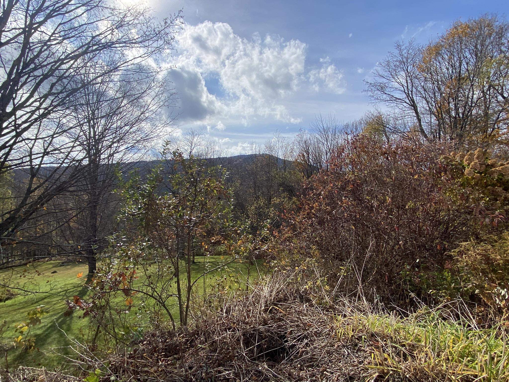25 Upper Handle Road Property Photo 9
