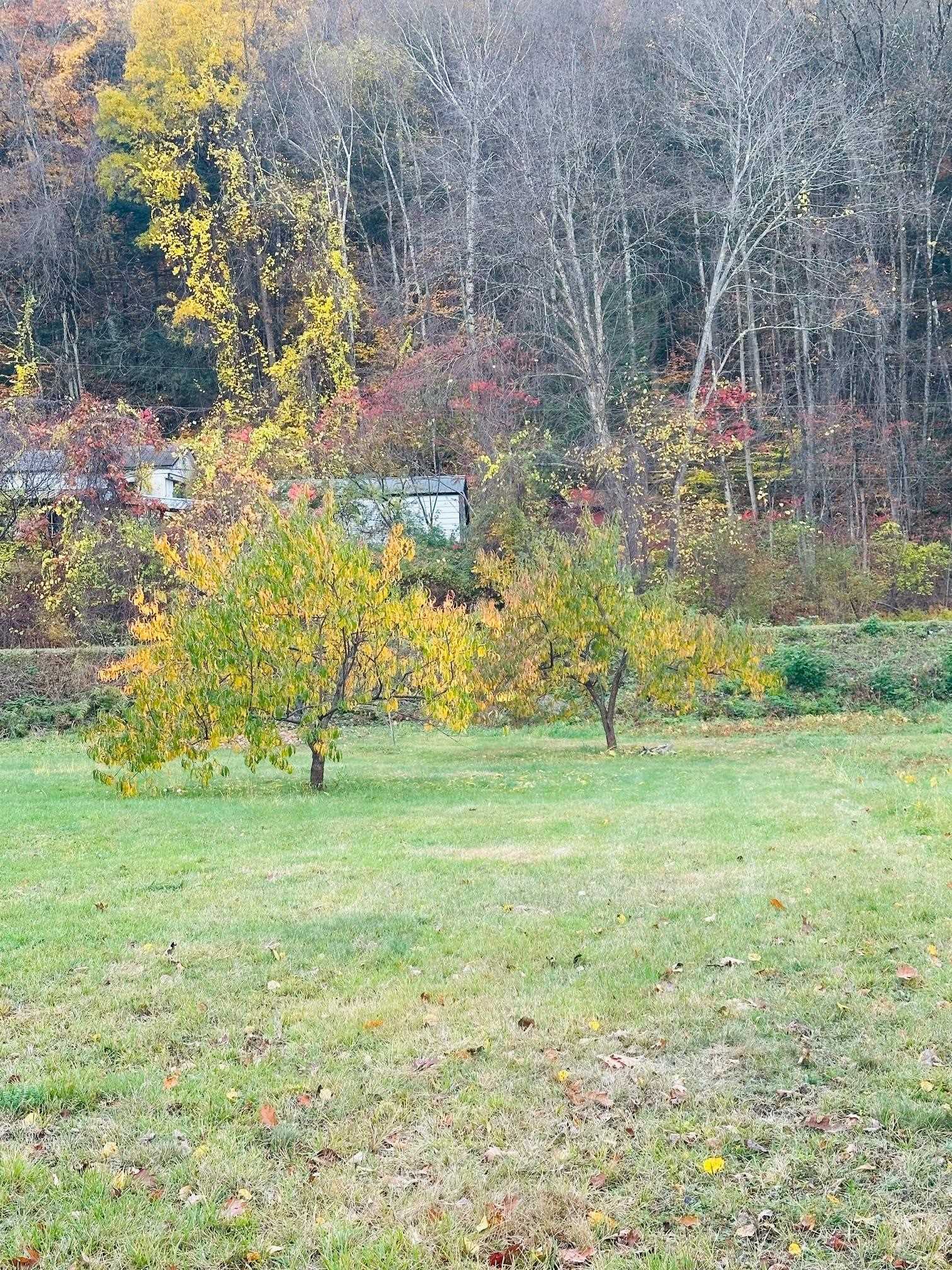 476 Missing Link Road Property Photo 4