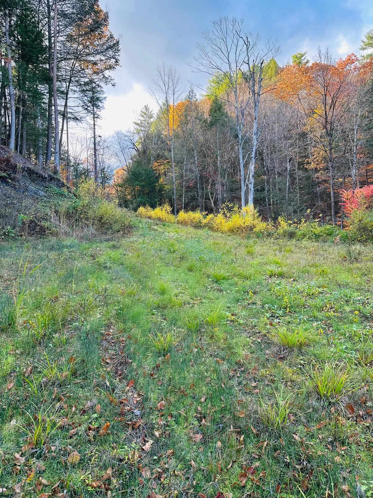 0 Missing Link Road Property Photo 1