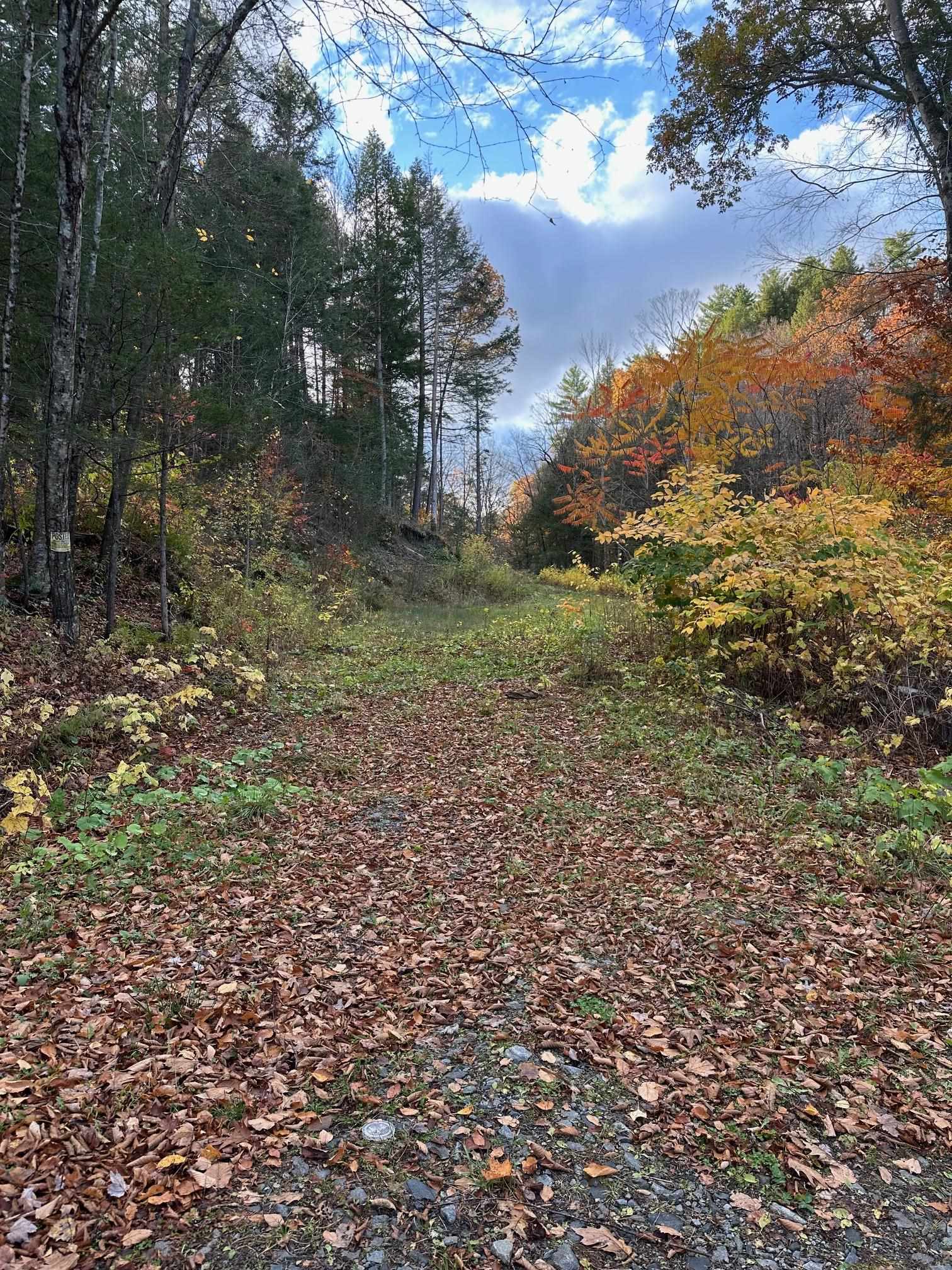 0 Missing Link Road Property Photo 2
