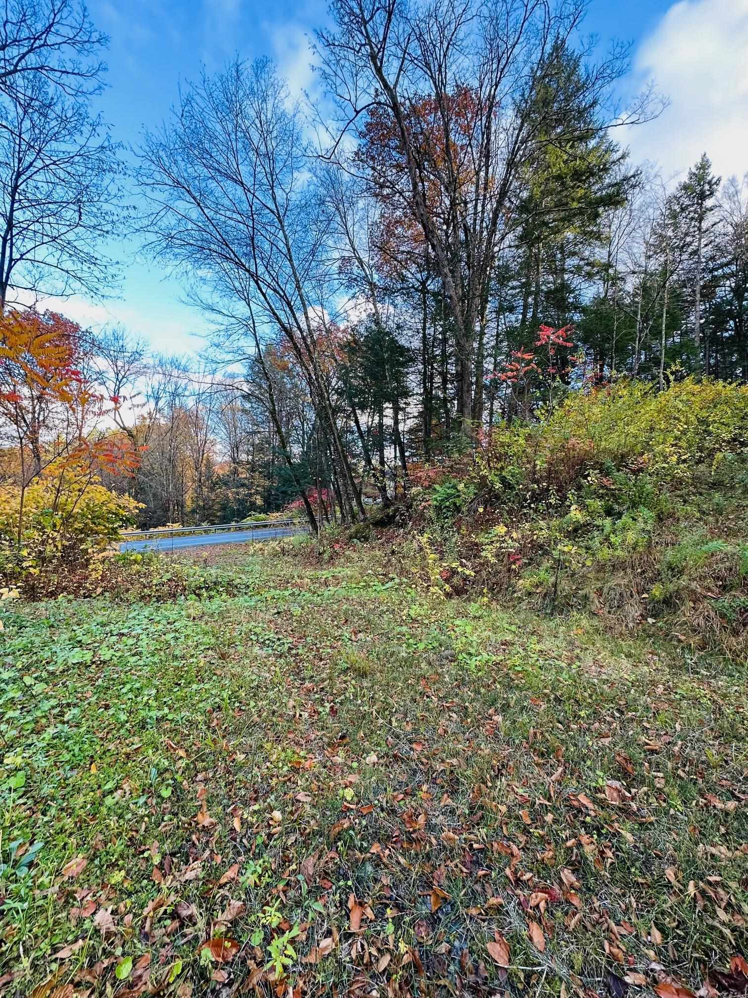 0 Missing Link Road Property Photo 3