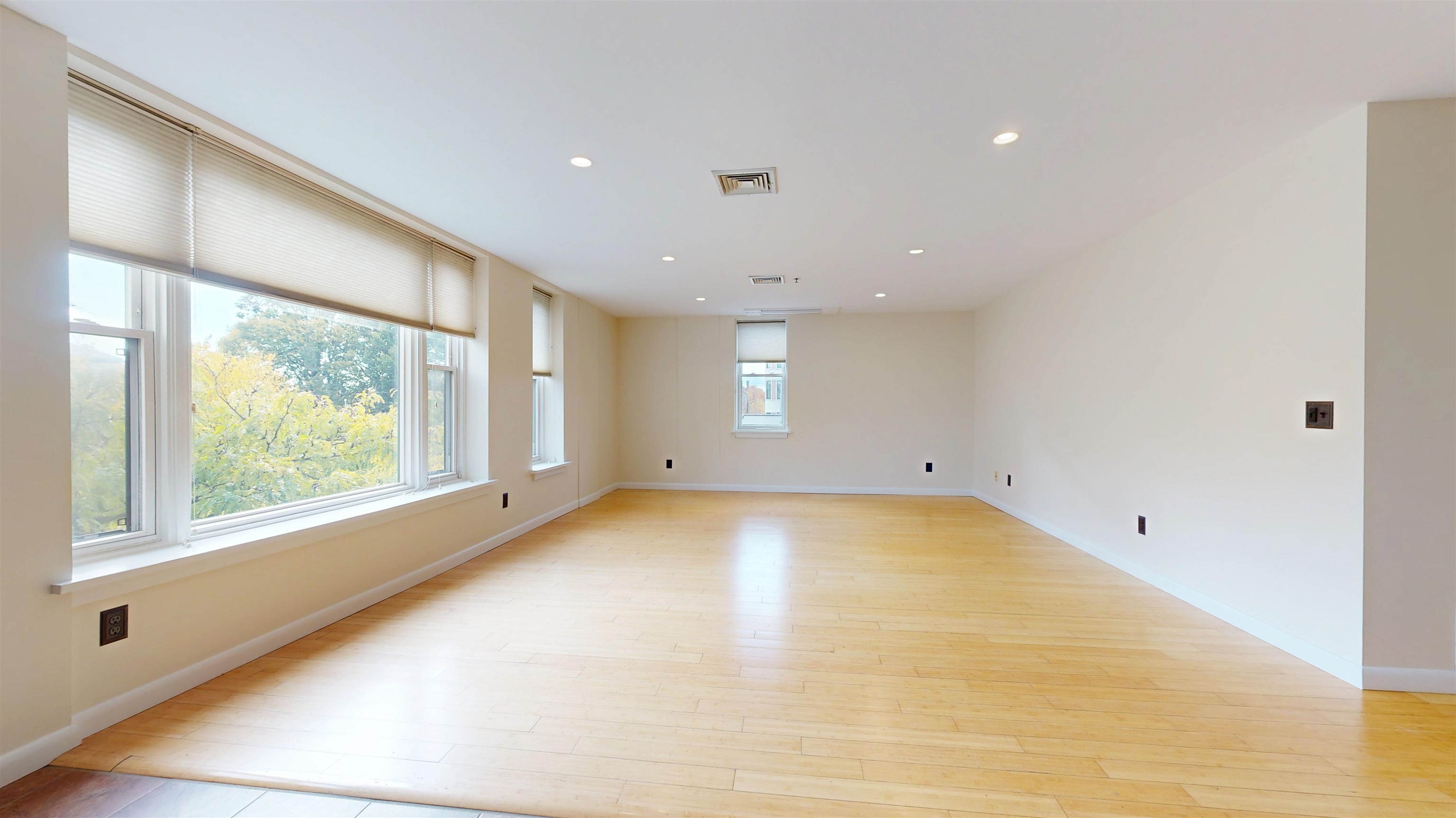 230 College Street Property Photo 6
