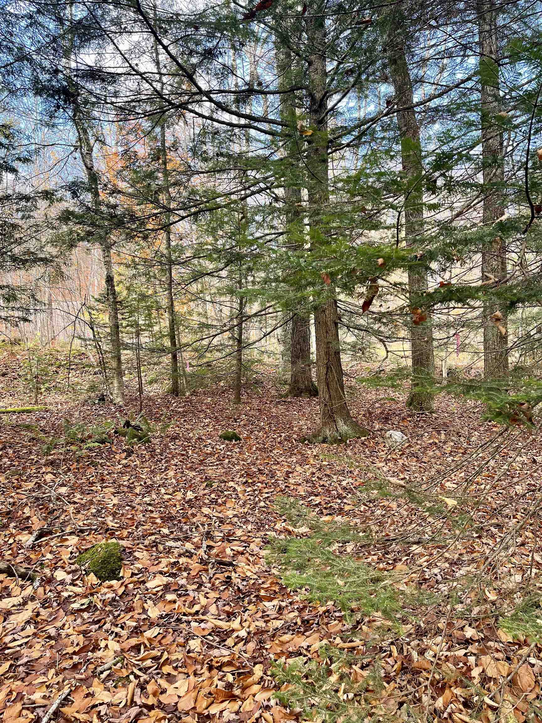 0 Foothills Drive Property Photo 5