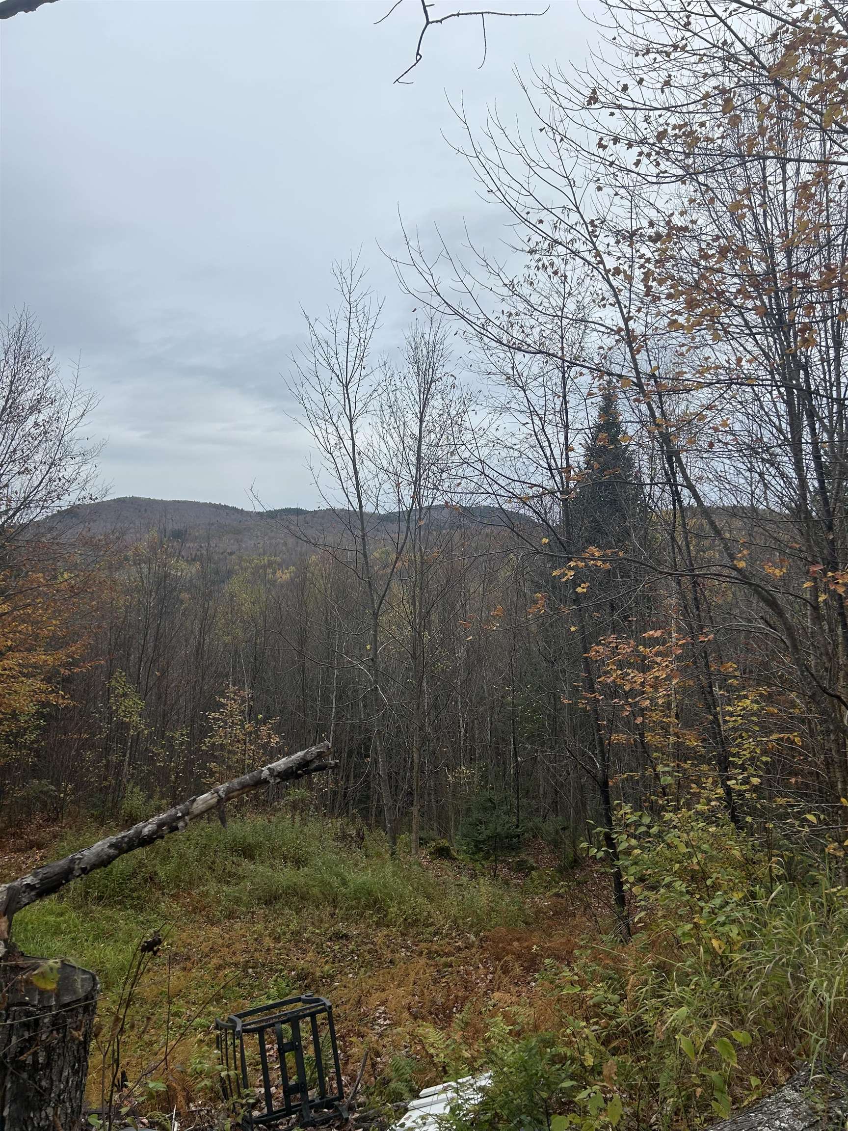 50 Hampshire Woods Loop Property Photo 9