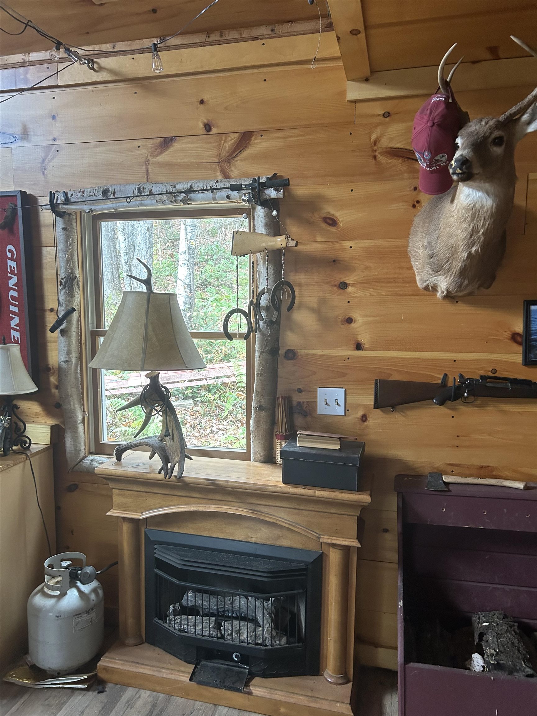 50 Hampshire Woods Loop Property Photo 12