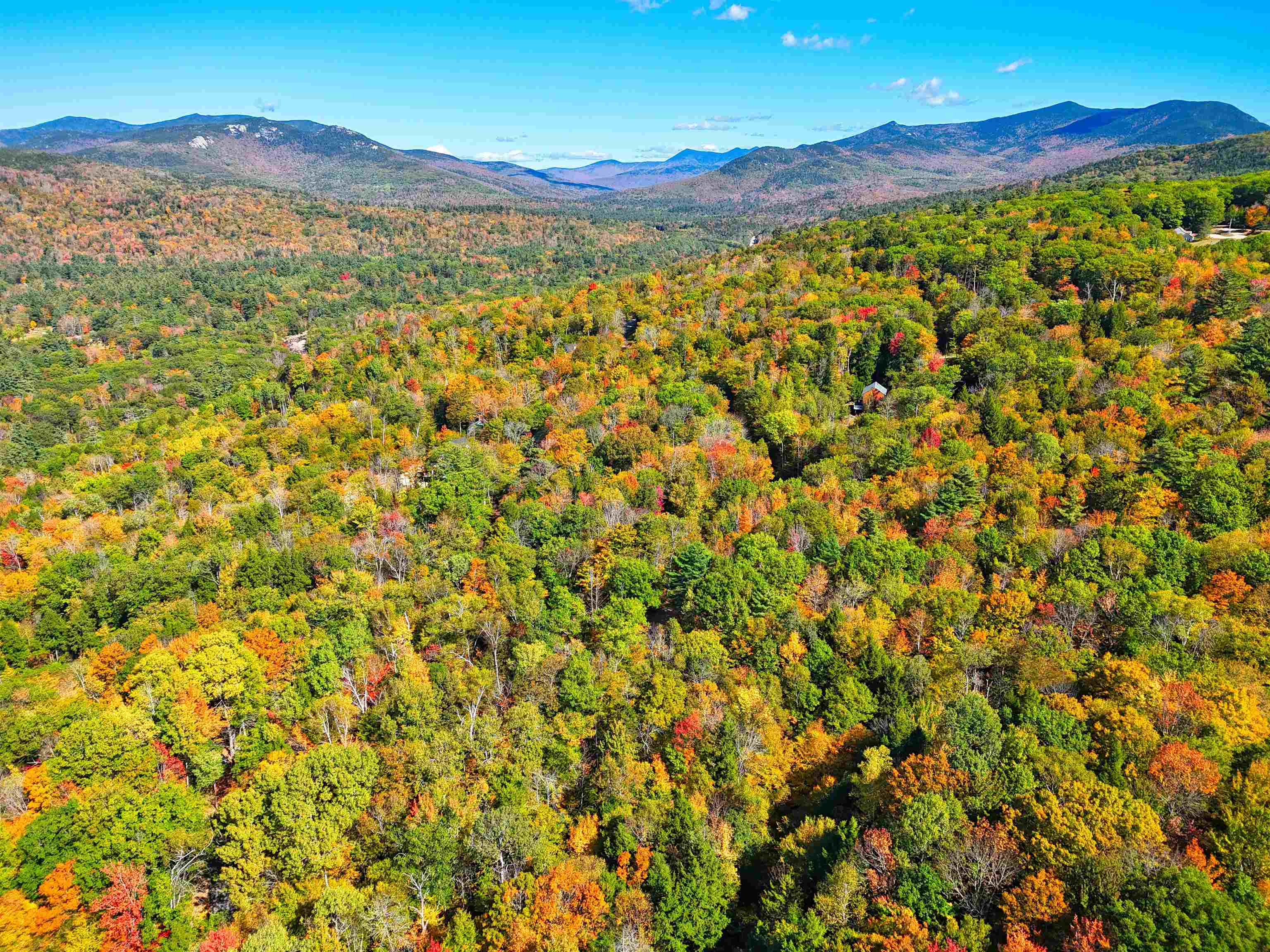 Checkerberry Ridge Property Photo 3