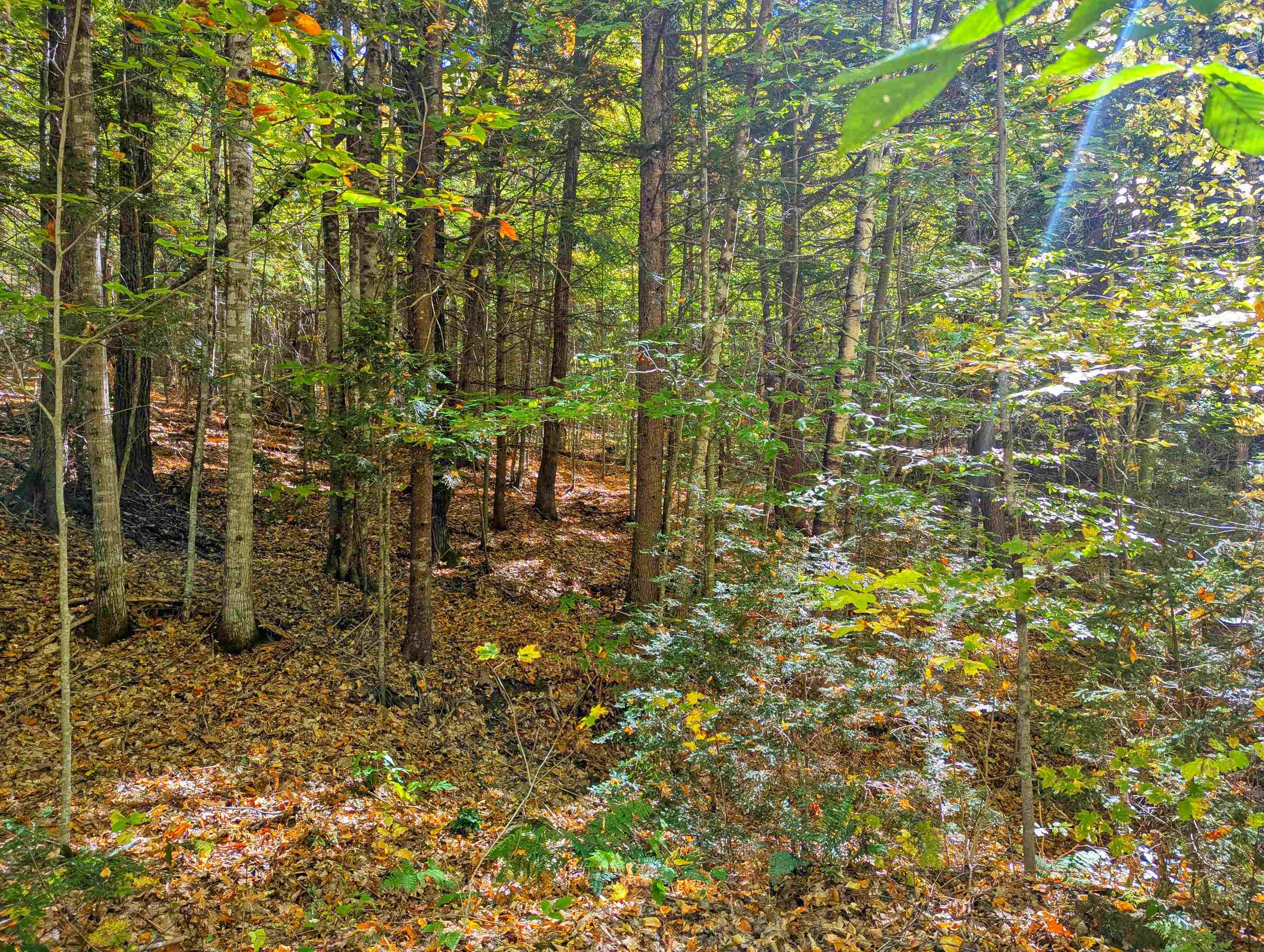 Checkerberry Ridge Property Photo 8