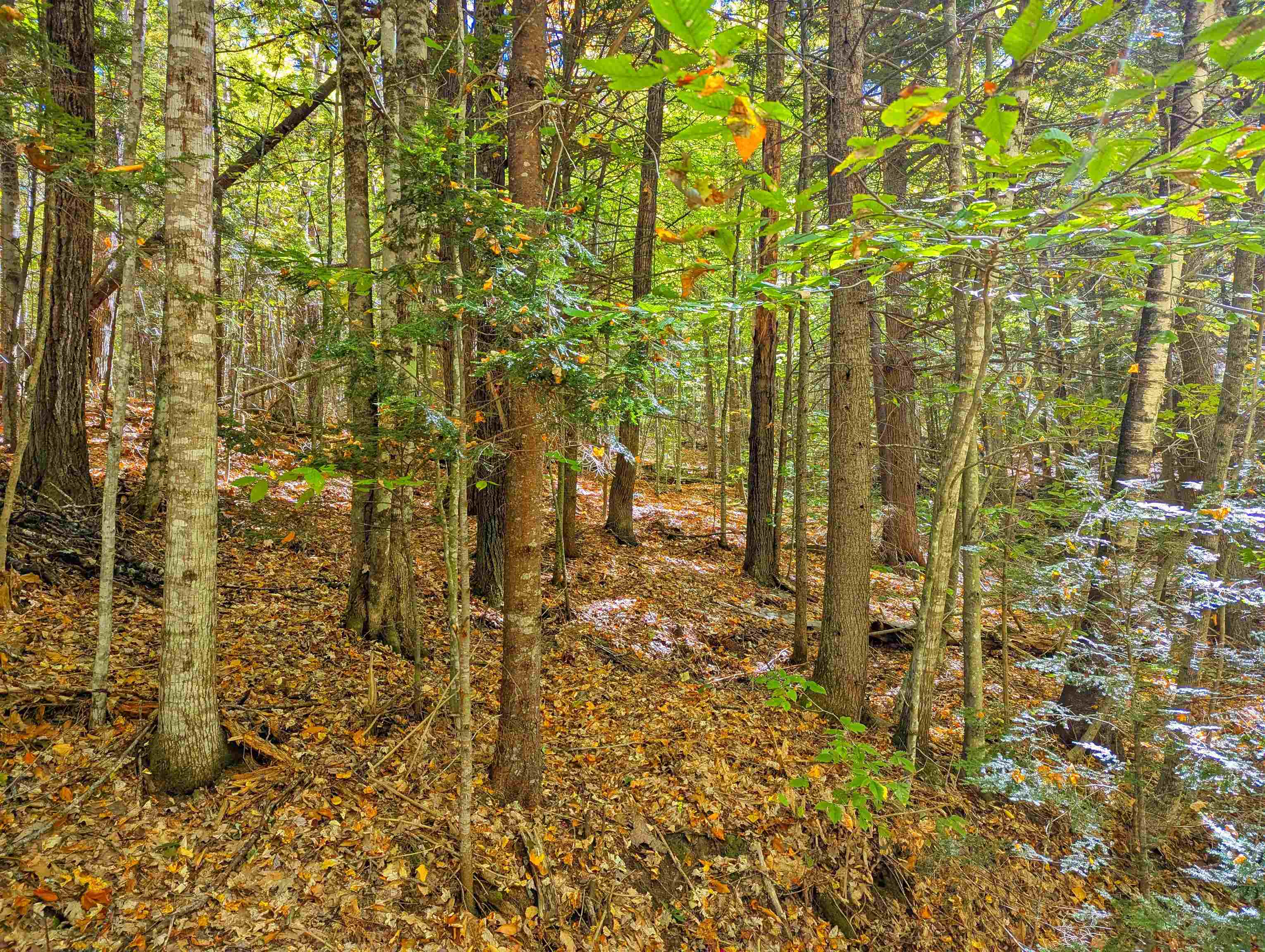 Checkerberry Ridge Property Photo 9