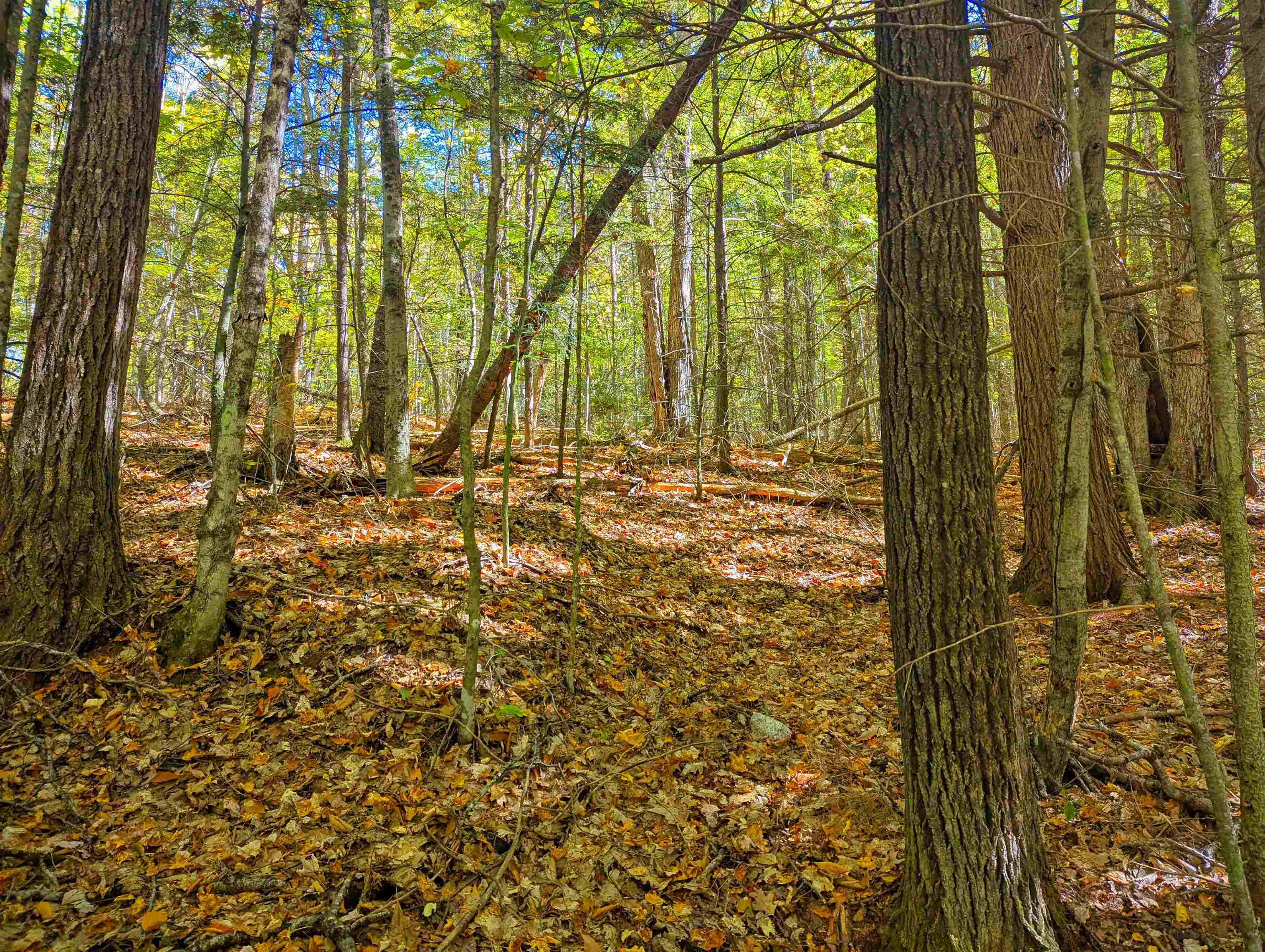 Checkerberry Ridge Property Photo 10