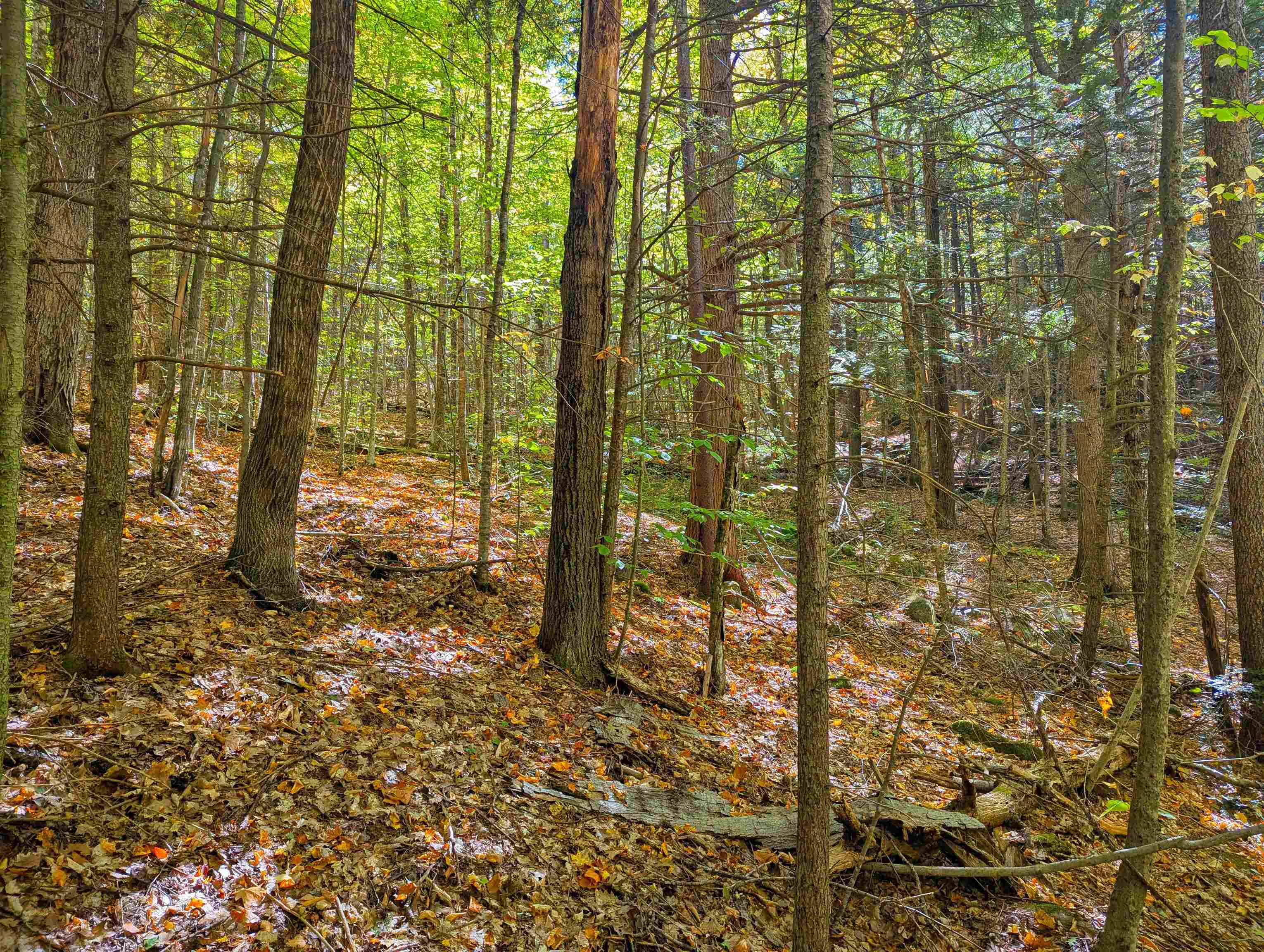 Checkerberry Ridge Property Photo 11