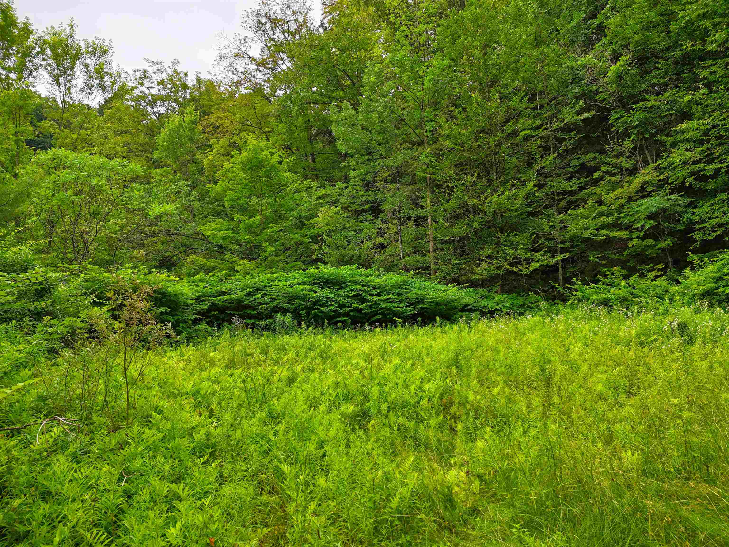 341 Seavers Brook Road Property Photo 2