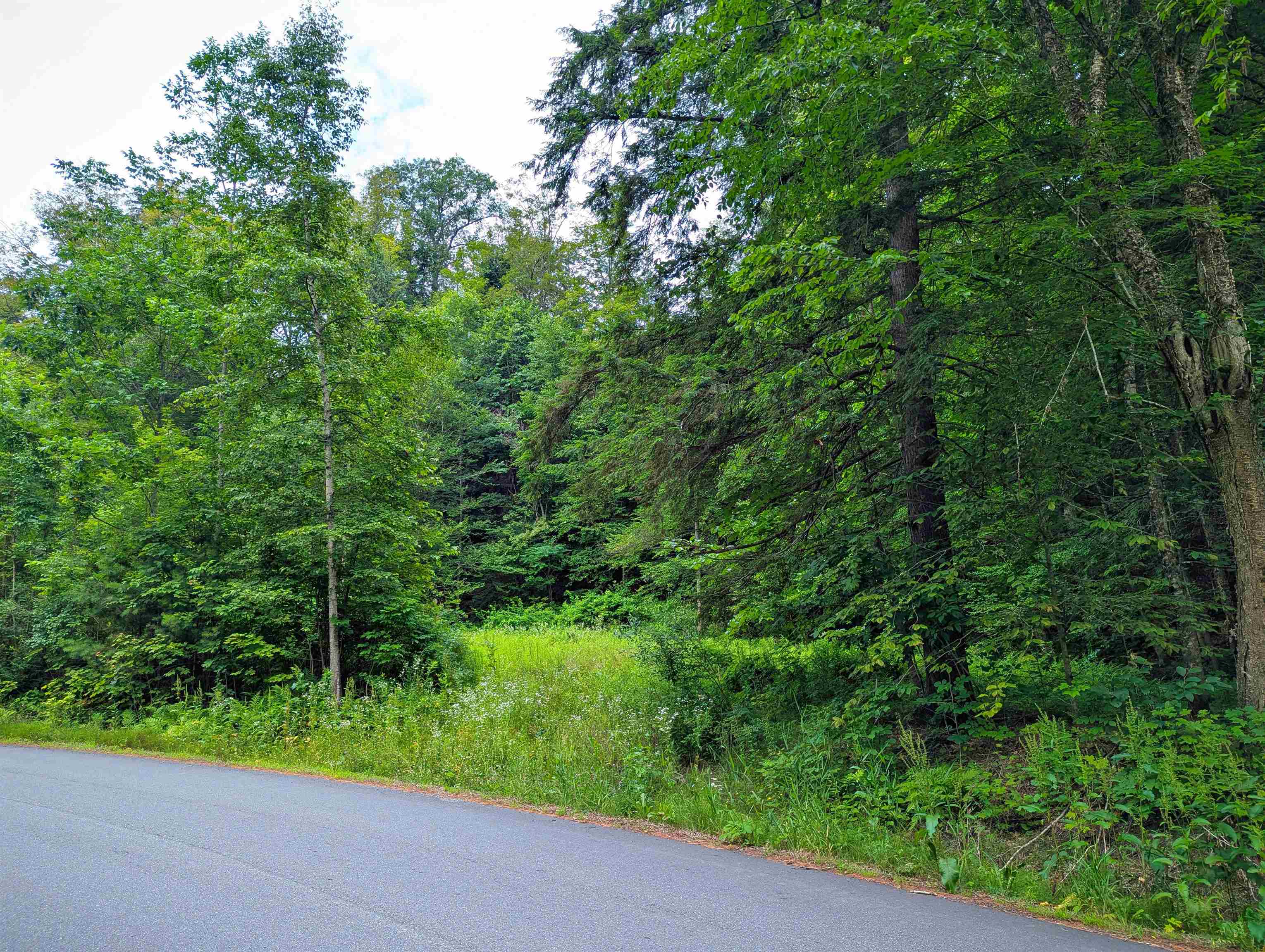 341 Seavers Brook Road Property Photo 9