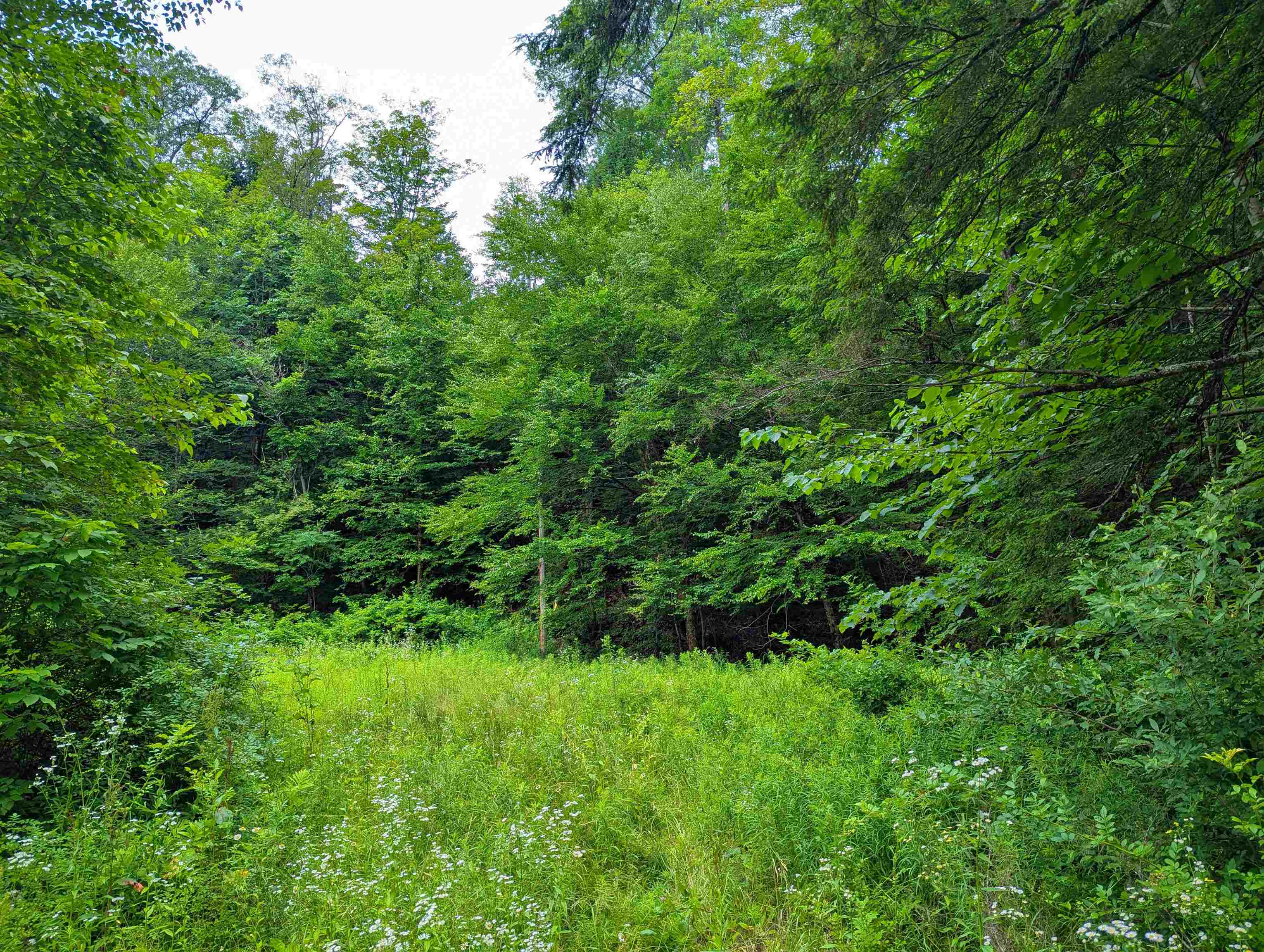 341 Seavers Brook Road Property Photo 10
