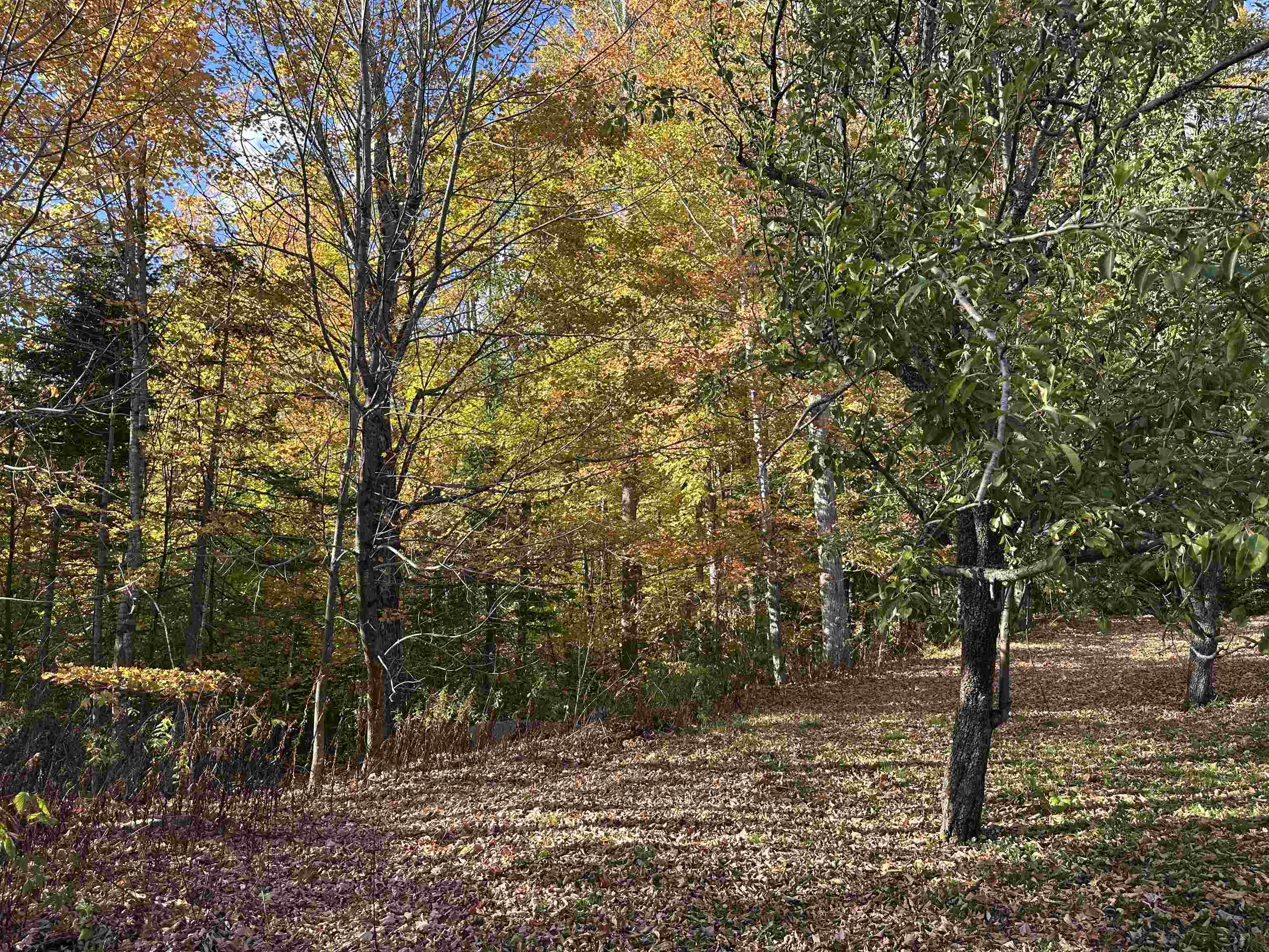 1502 Us Route 2 Property Photo 7