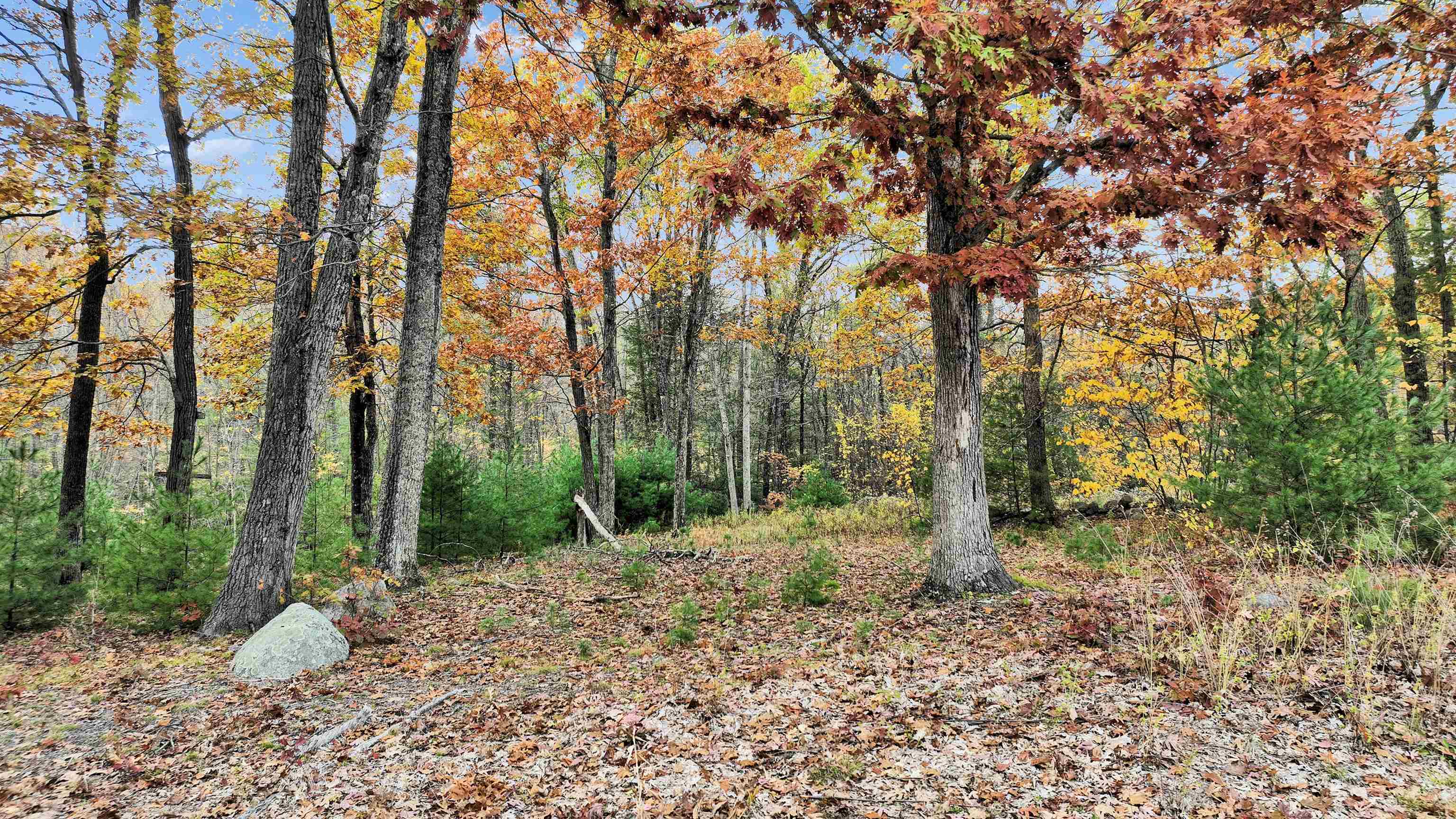 Lot 14 Winterberry Road Property Photo 9