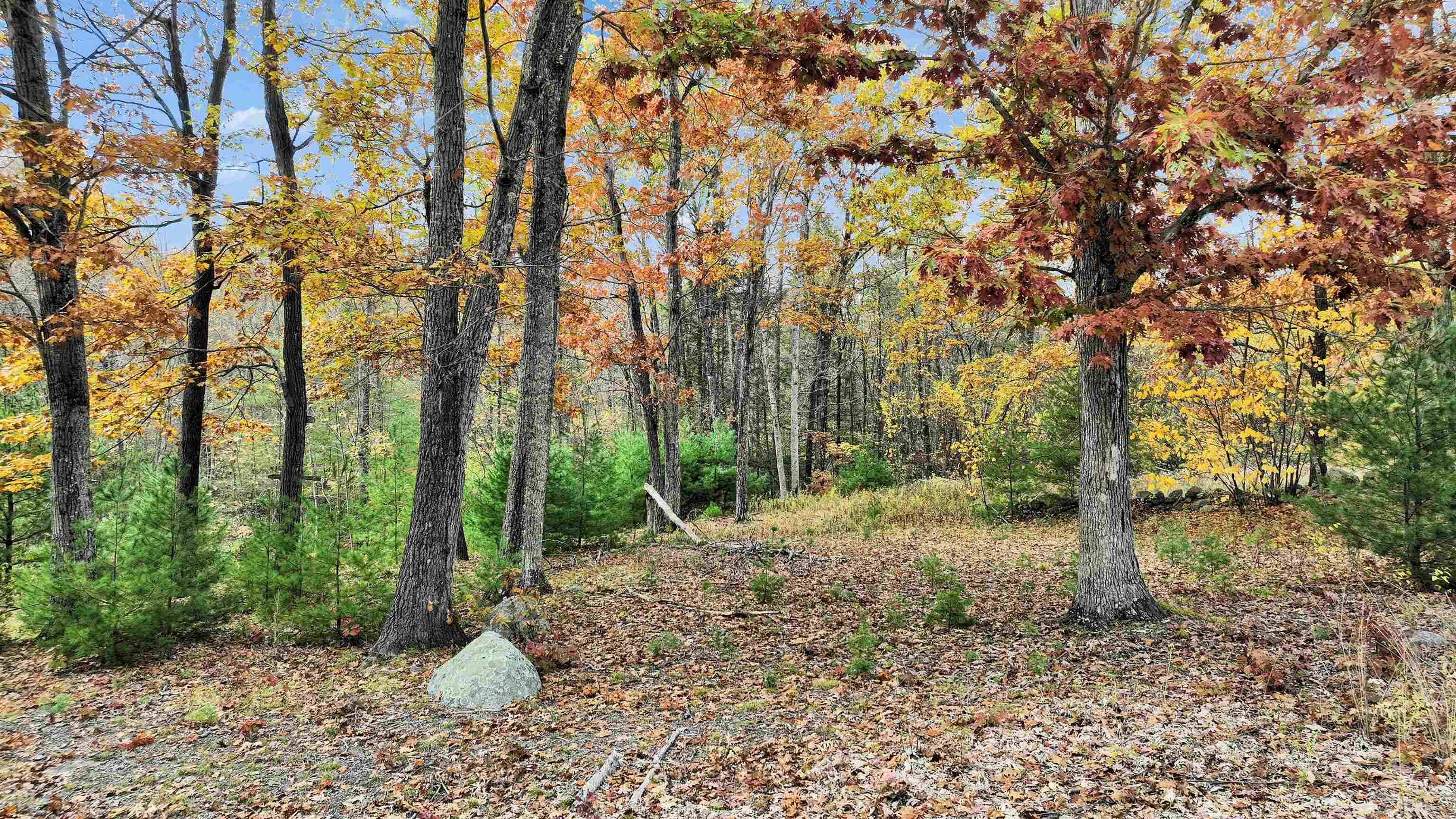 Lot 14 Winterberry Road Property Photo 12