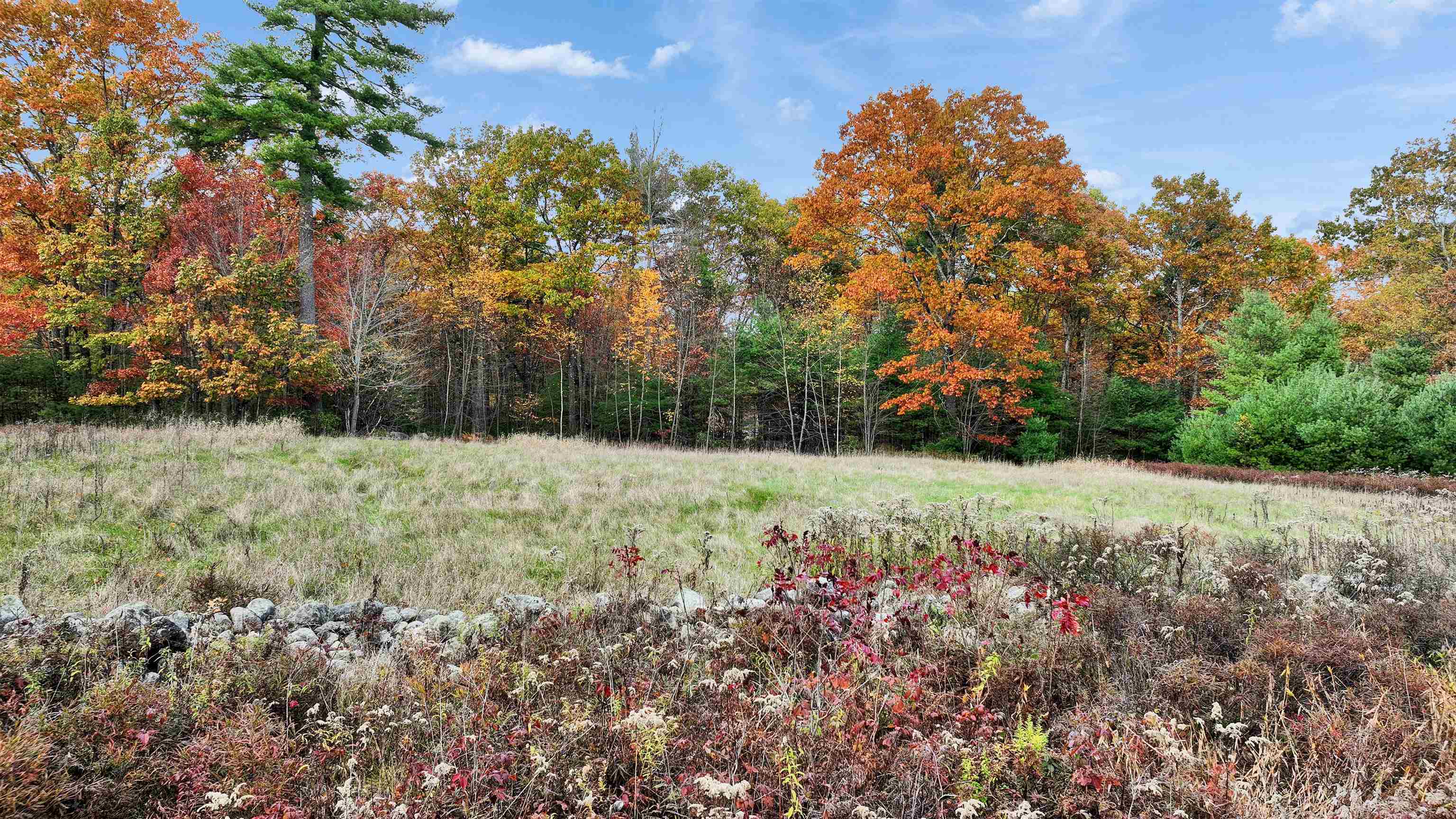 Lot 14 Winterberry Road Property Photo 15