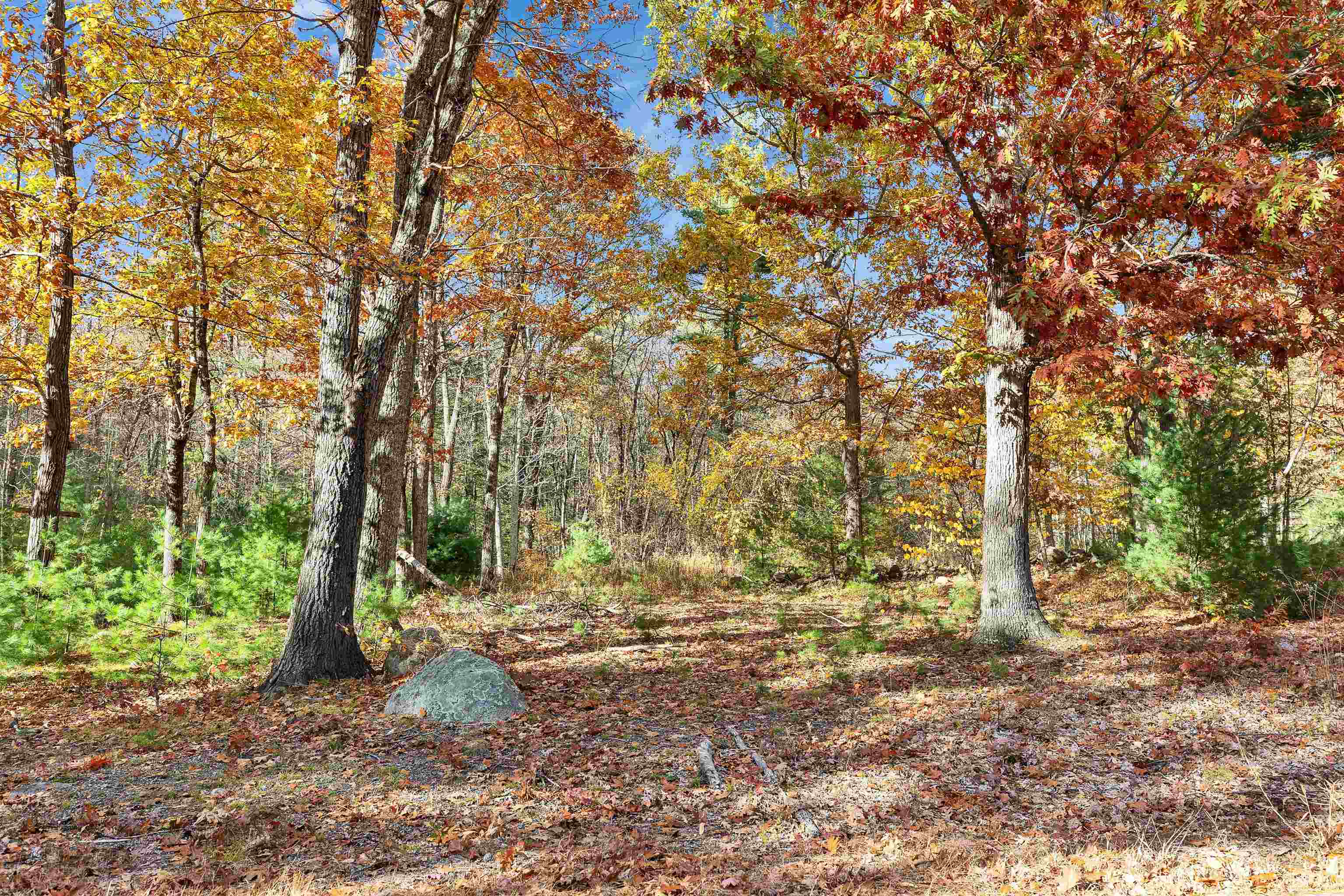 Lot 13 Winterberry Road Property Photo 3