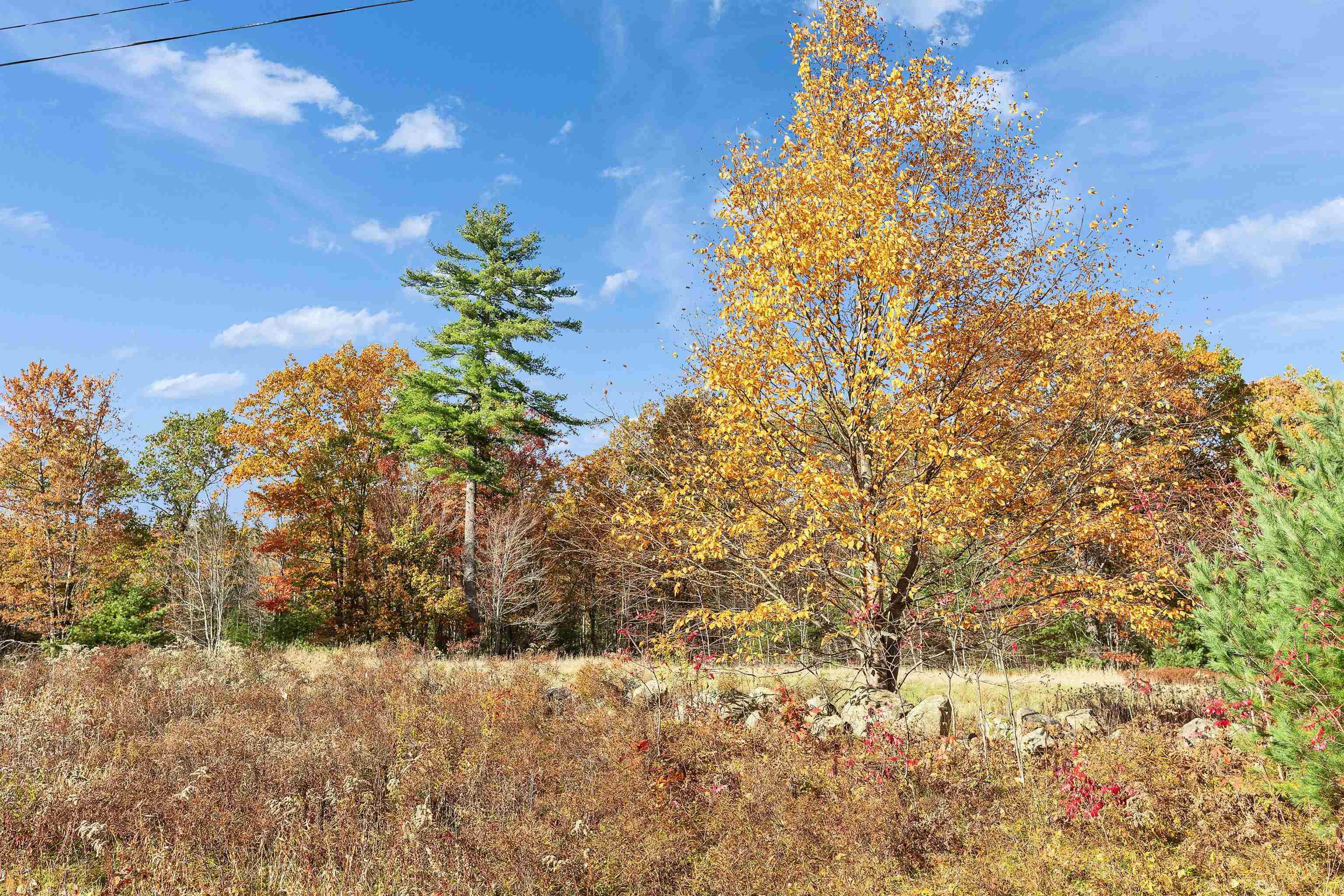 Lot 13 Winterberry Road Property Photo 7