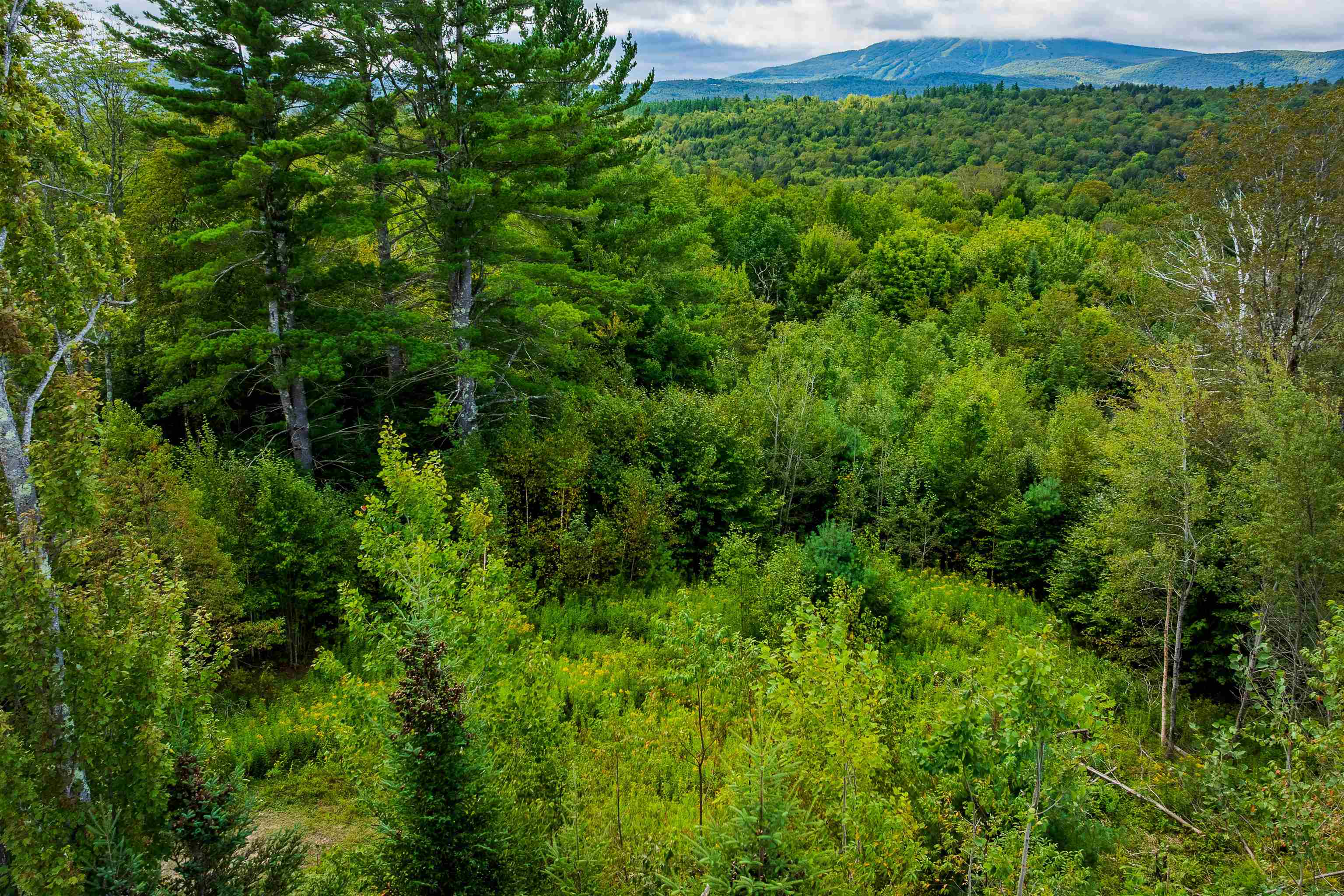 248 French Hollow Road Property Photo 2