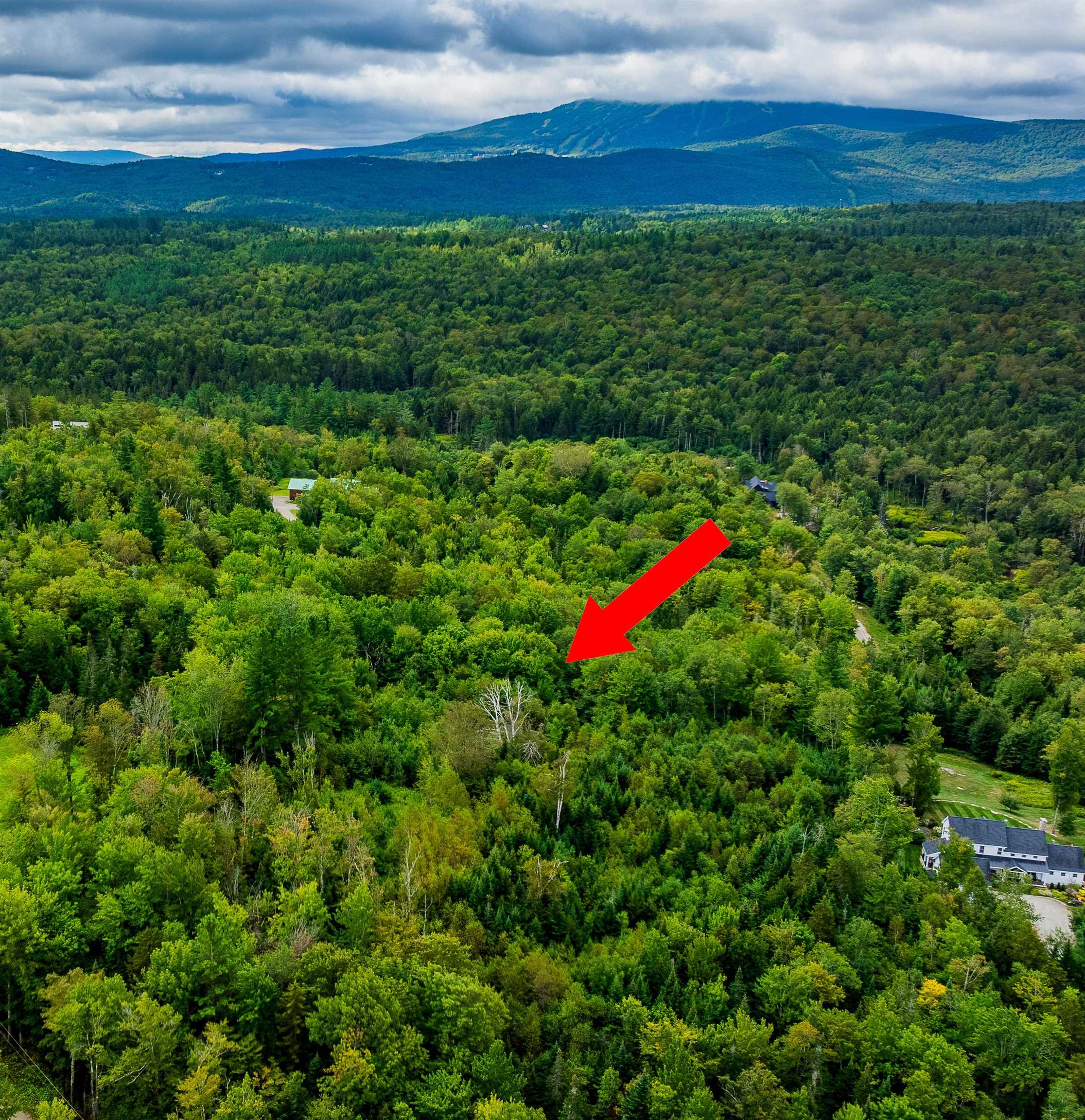 248 French Hollow Road Property Photo 3