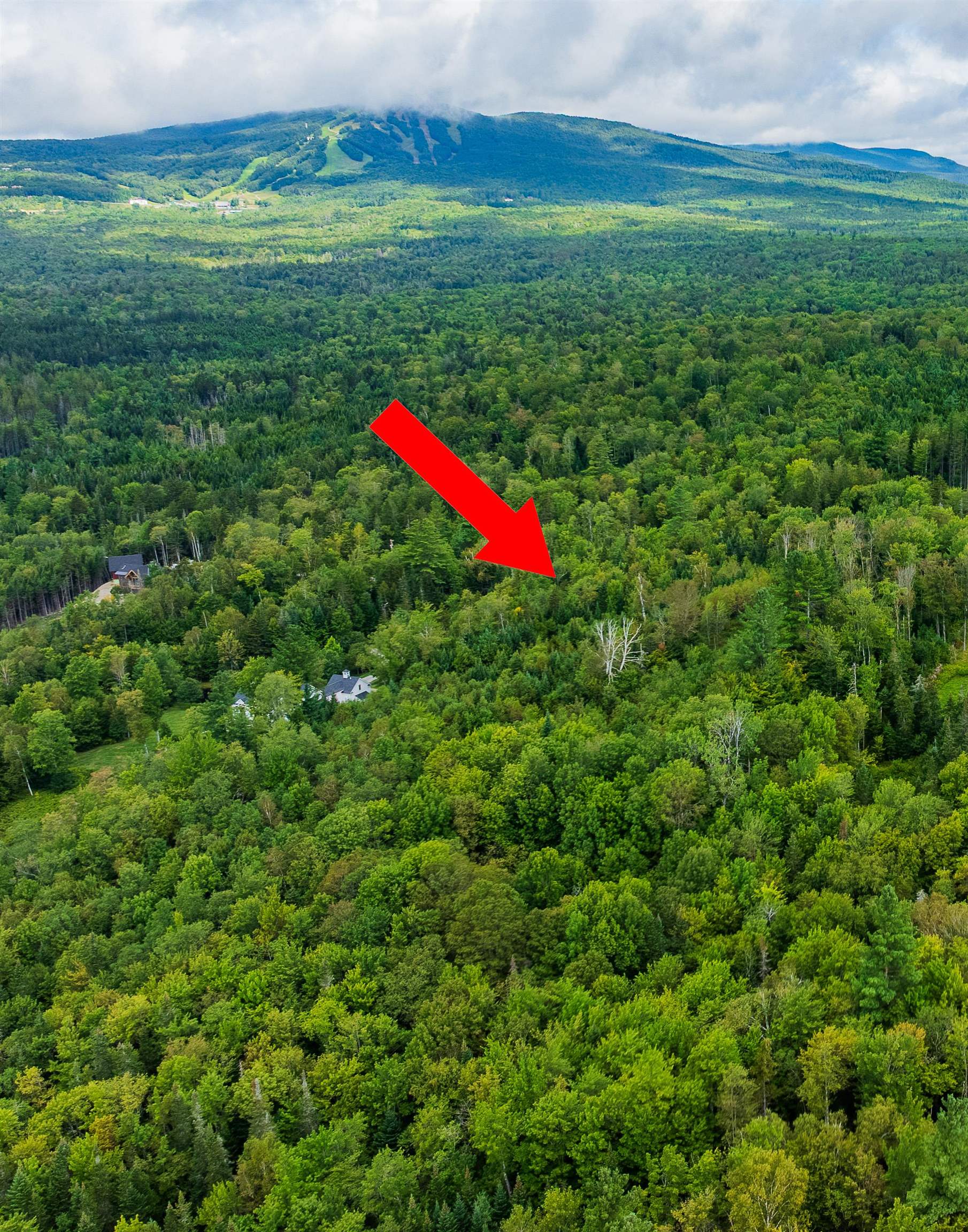 248 French Hollow Road Property Photo 4