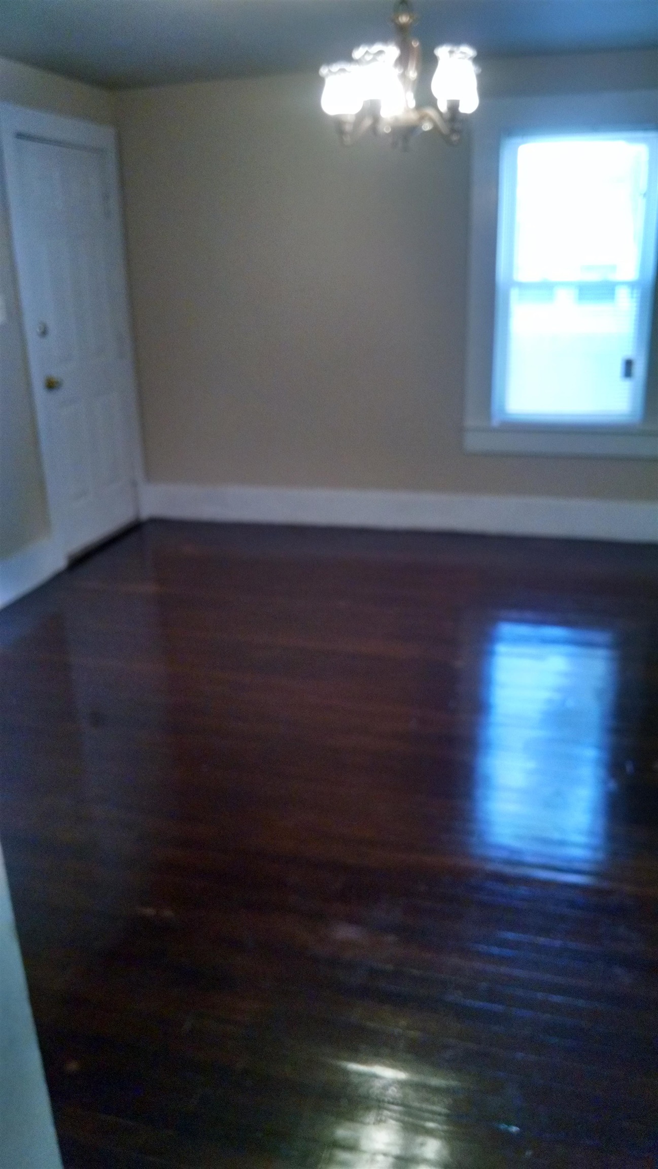 102 Orange Street Property Photo 19