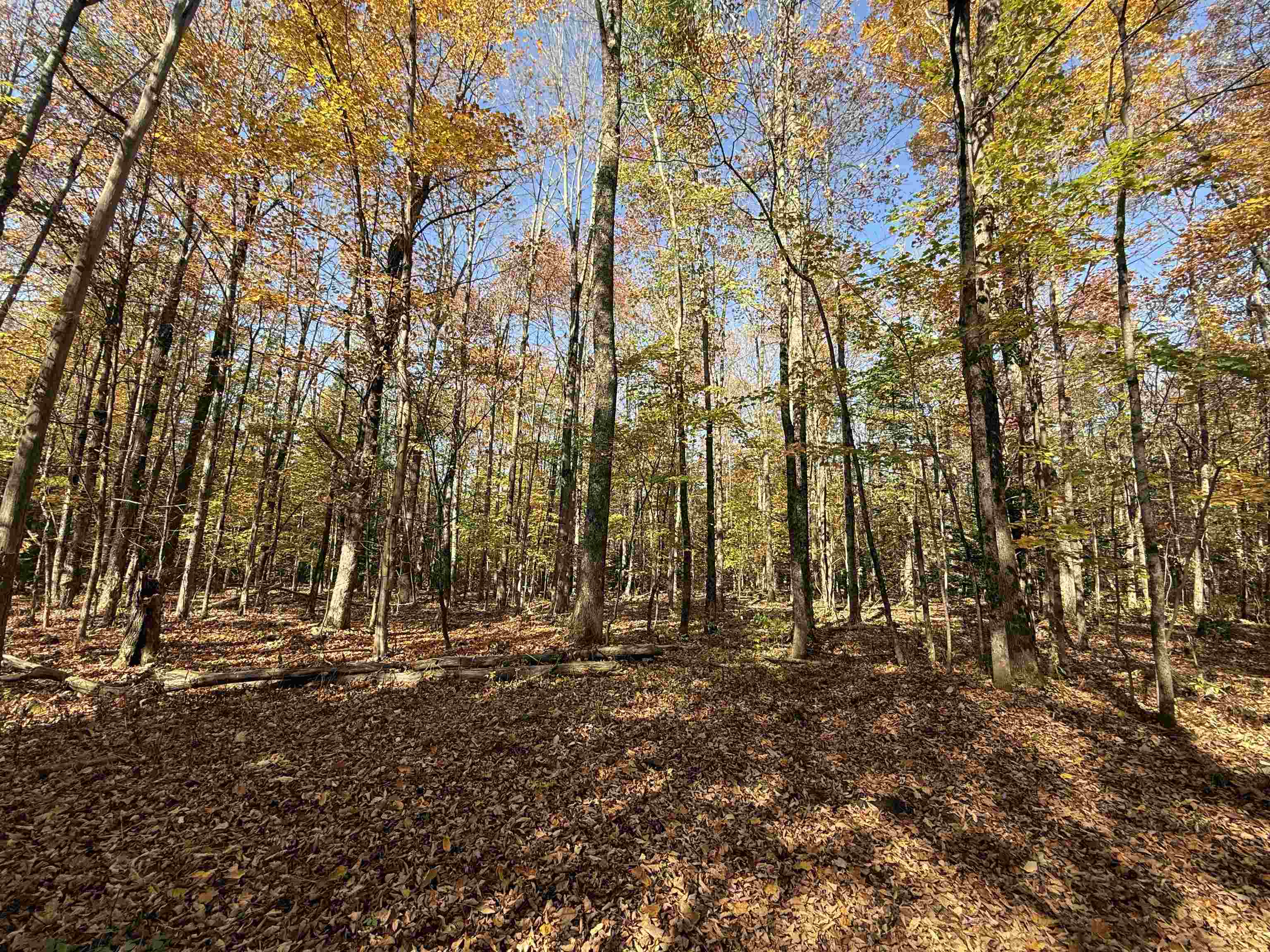 1414 Collins Mill Road Property Photo 1