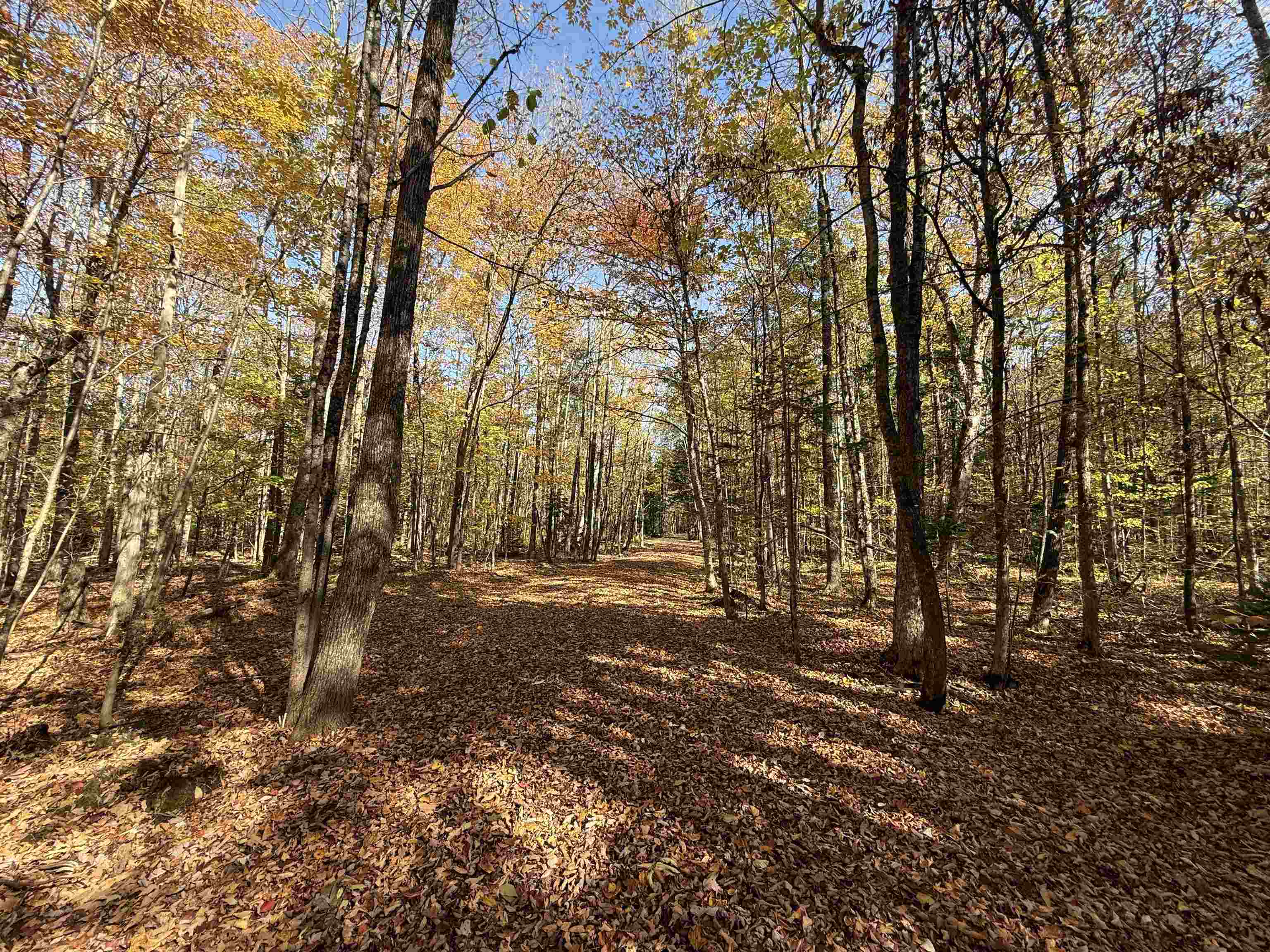 1414 Collins Mill Road Property Photo 2