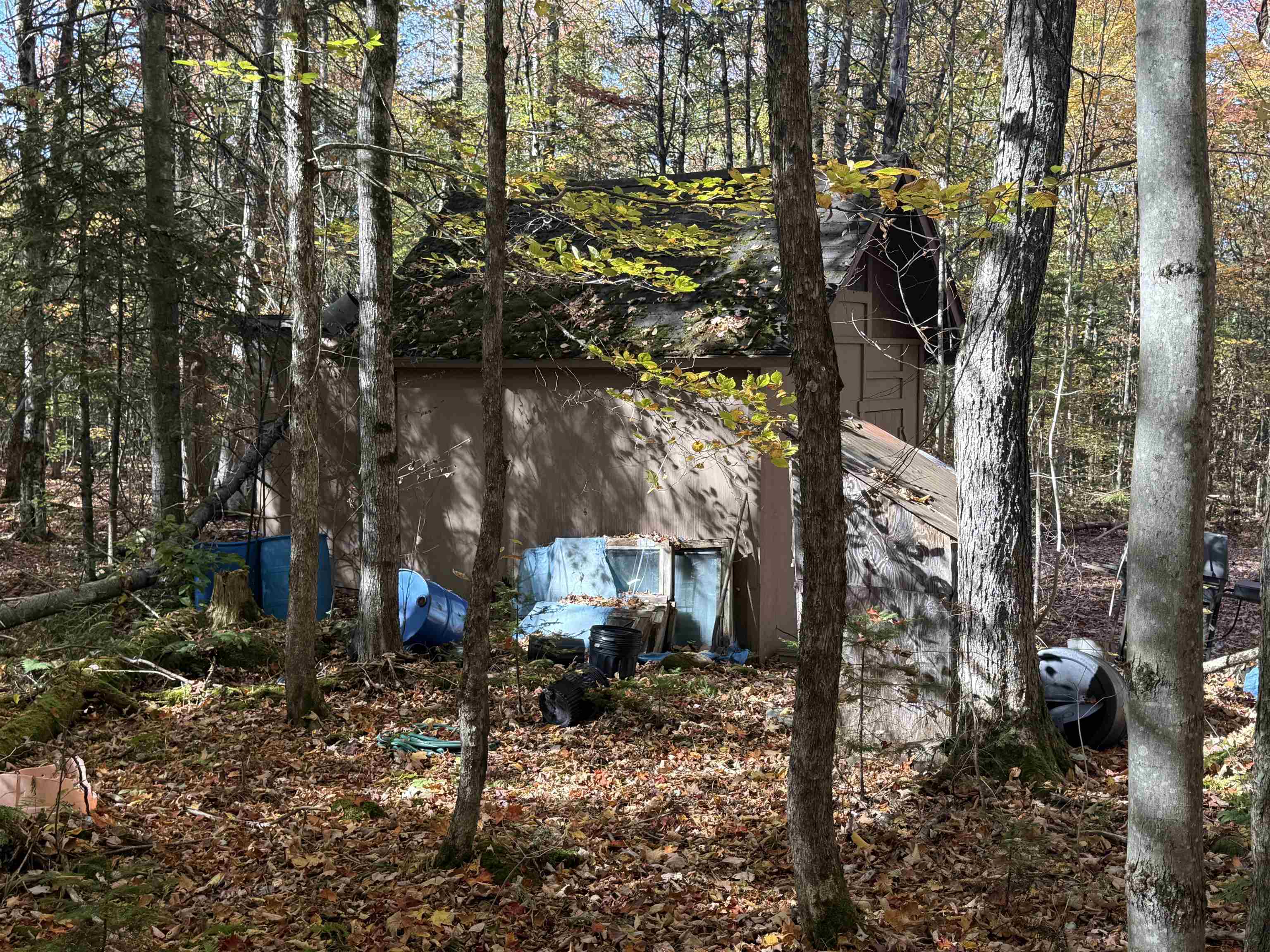 1414 Collins Mill Road Property Photo 21