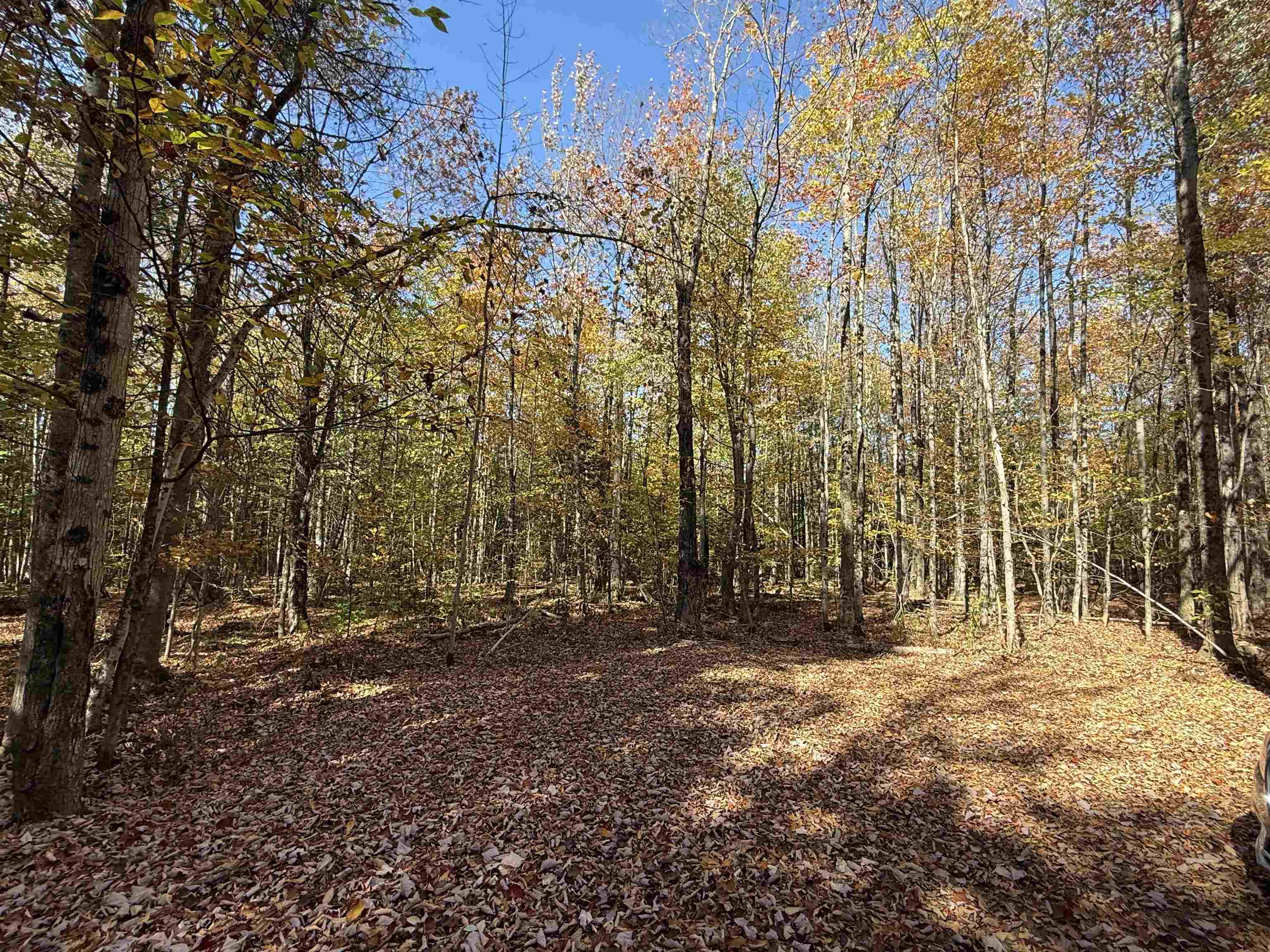 1414 Collins Mill Road Property Photo 22