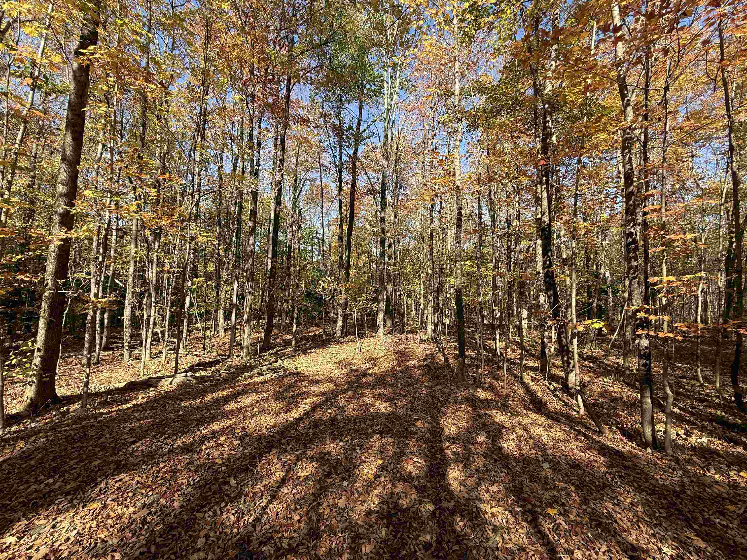 1414 Collins Mill Road Property Photo 31
