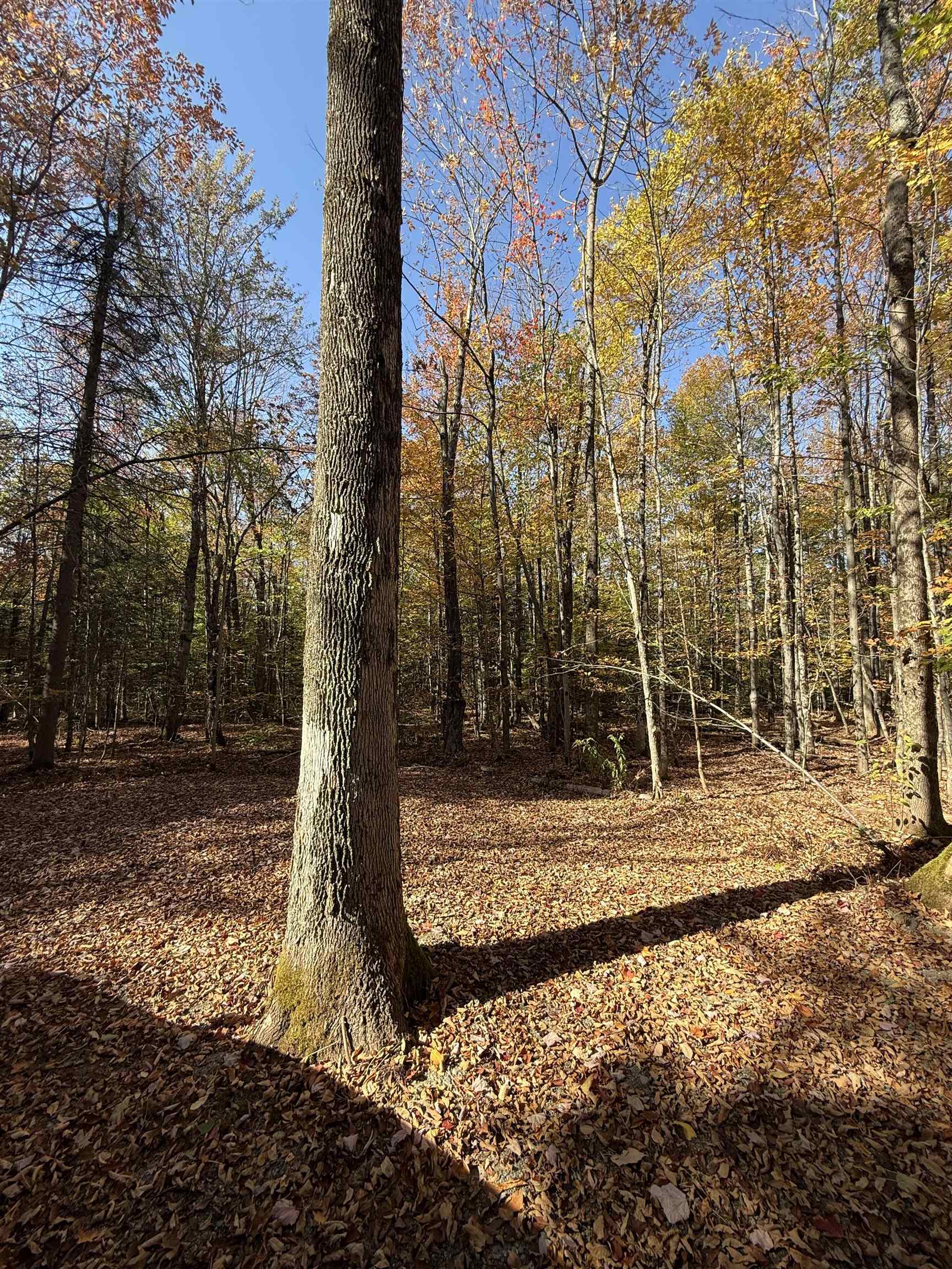 1414 Collins Mill Road Property Photo 32