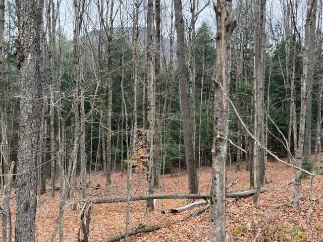 00 Maxfield Road Property Photo 2