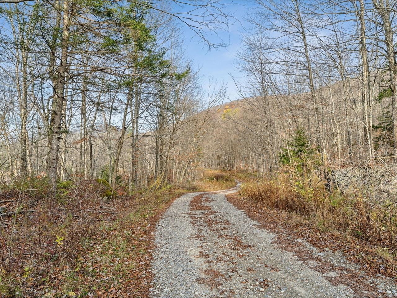 2350 Cobb Hill Road Property Photo 20