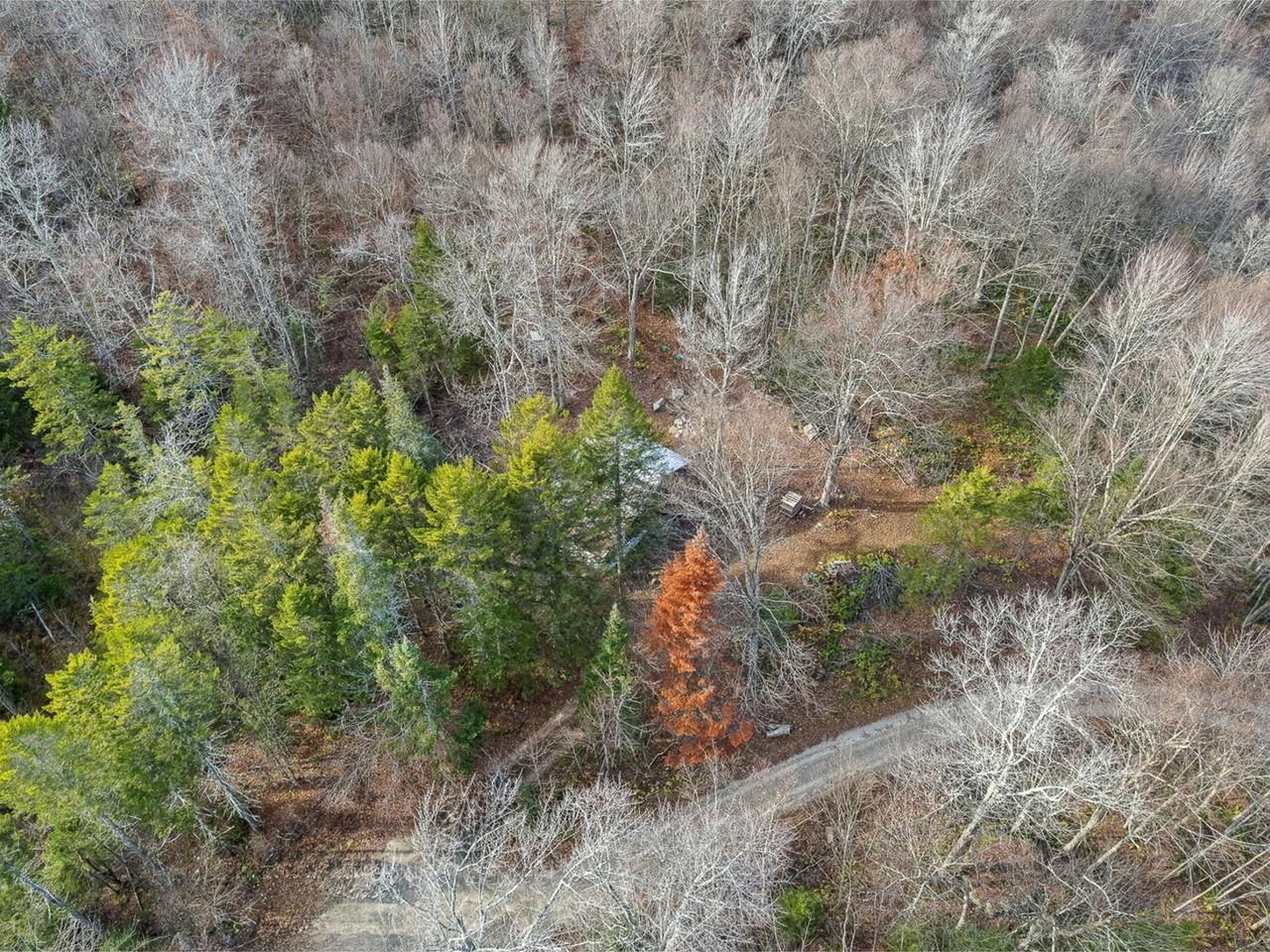 2350 Cobb Hill Road Property Photo 23