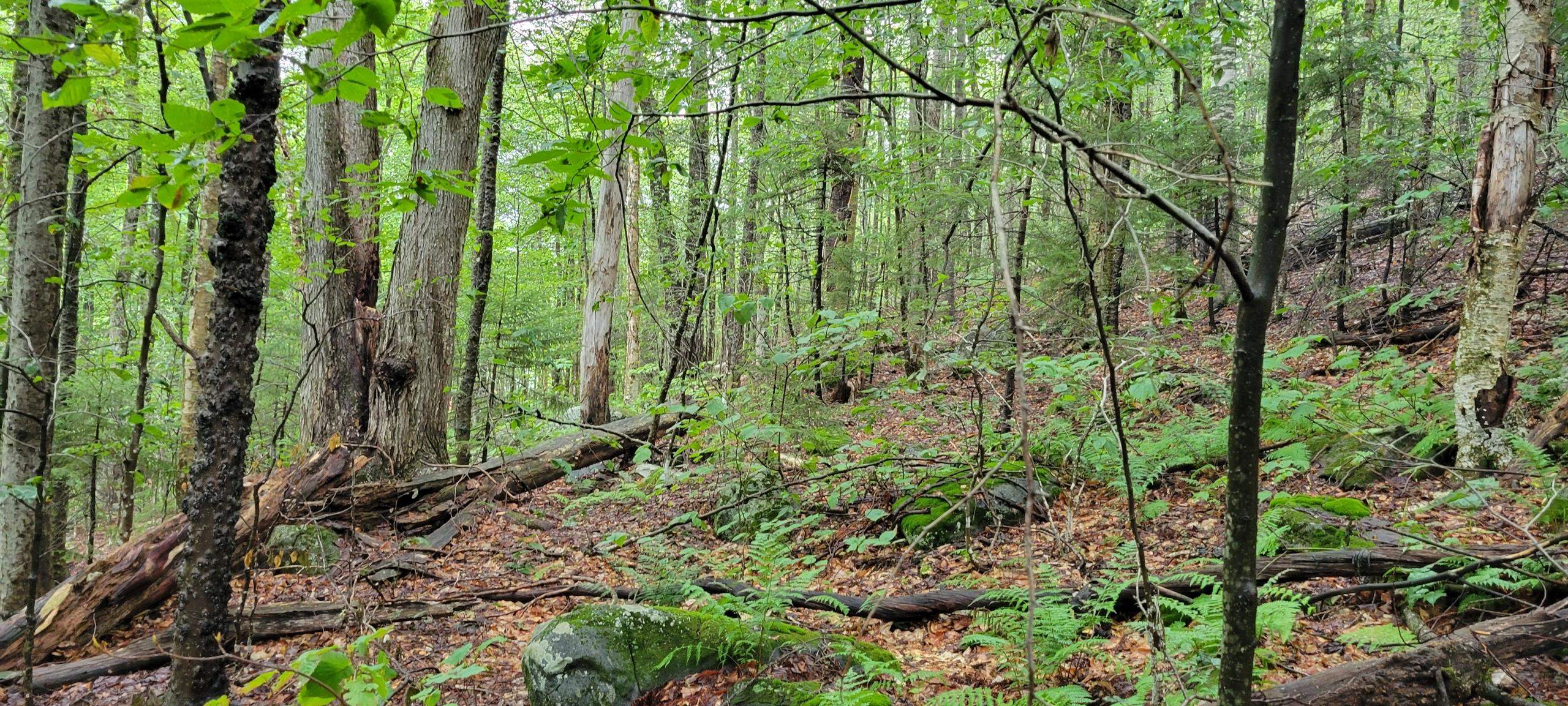 00 Heartwellville View Road Property Photo 12