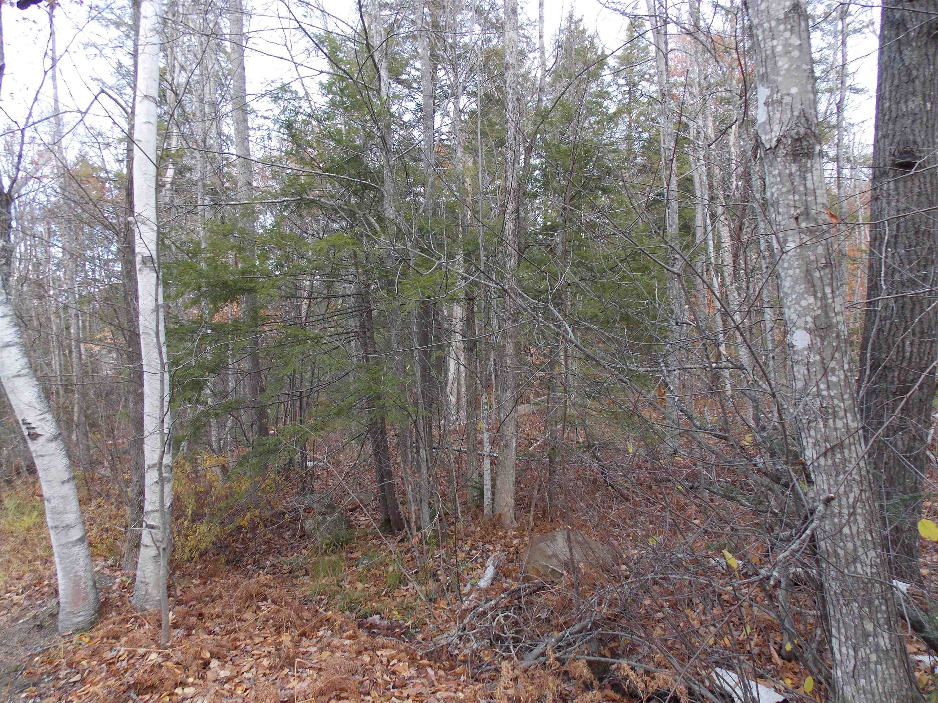 Lot 49 Mittenwald Strasse Road Property Photo 1