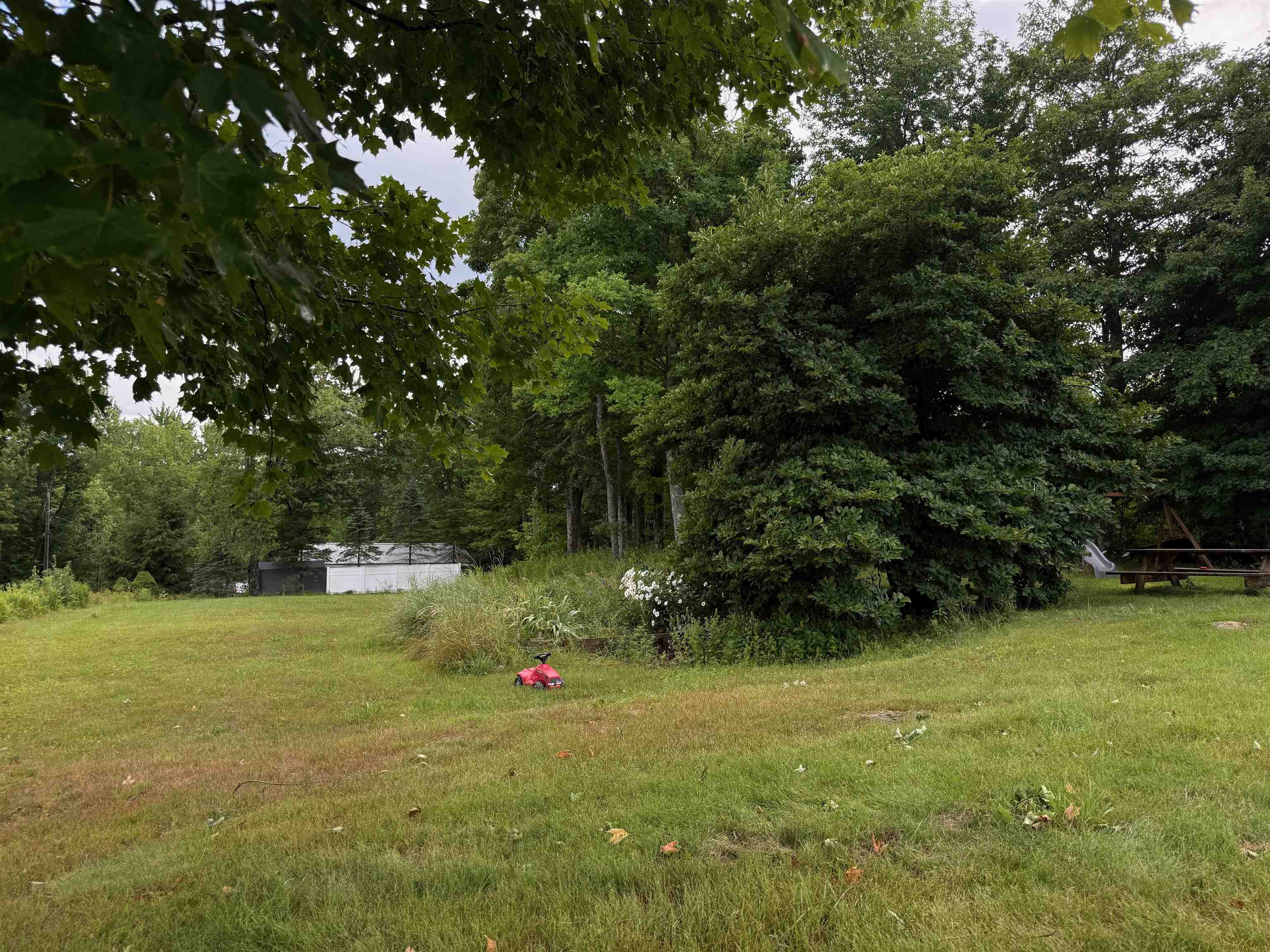 67 Lang Road Property Photo 33