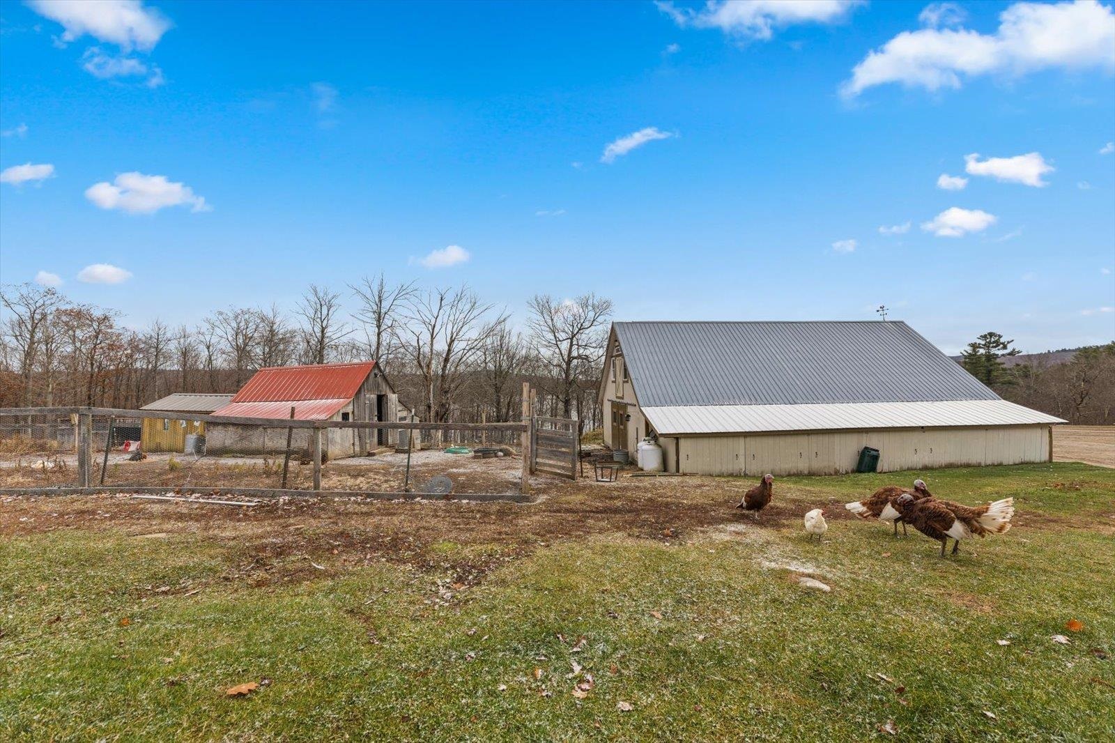 67 Lang Road Property Photo 54