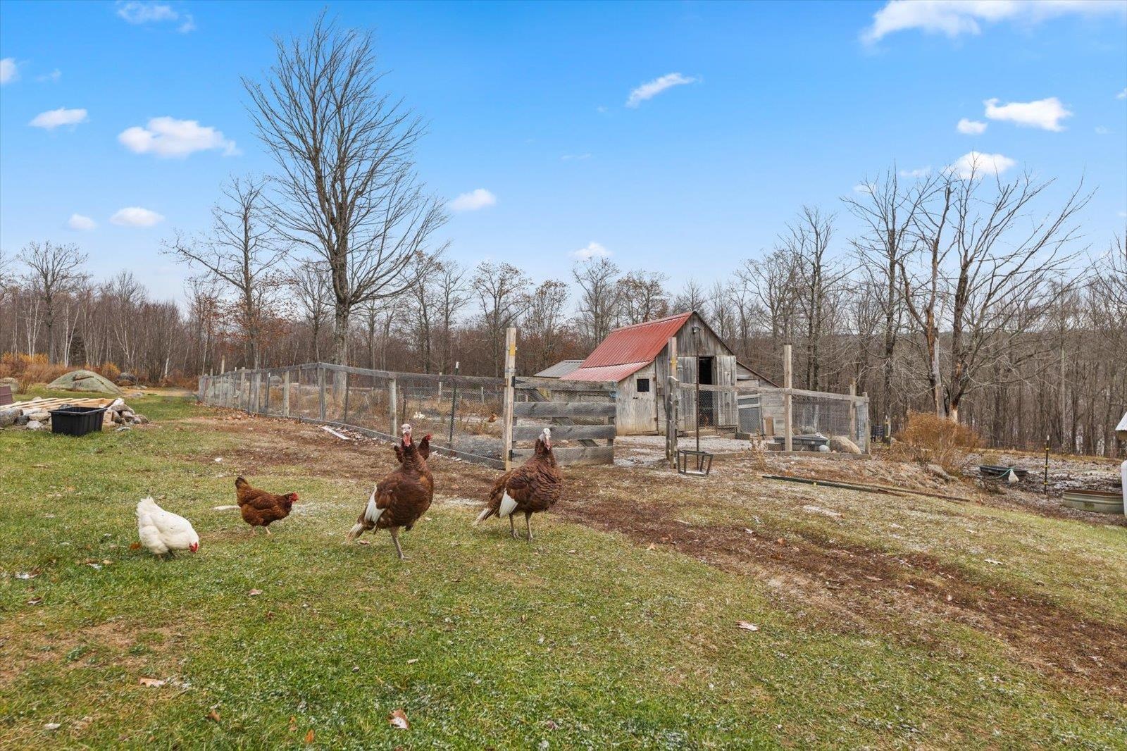 67 Lang Road Property Photo 55