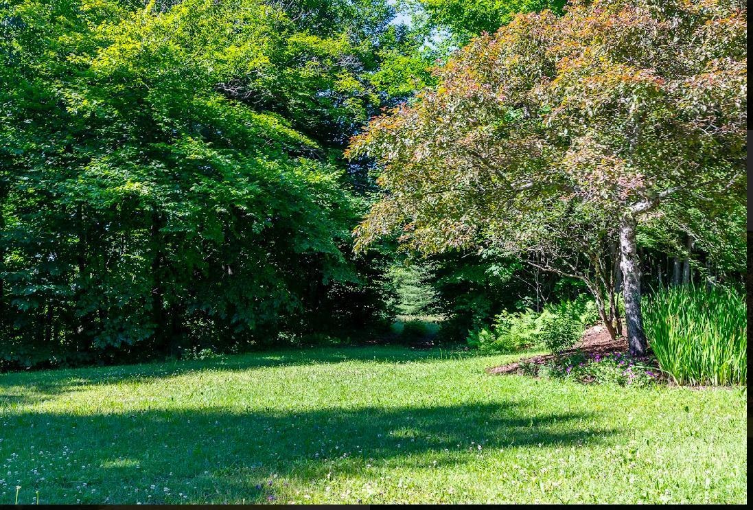 00 Robinson Springs Road Property Photo 4
