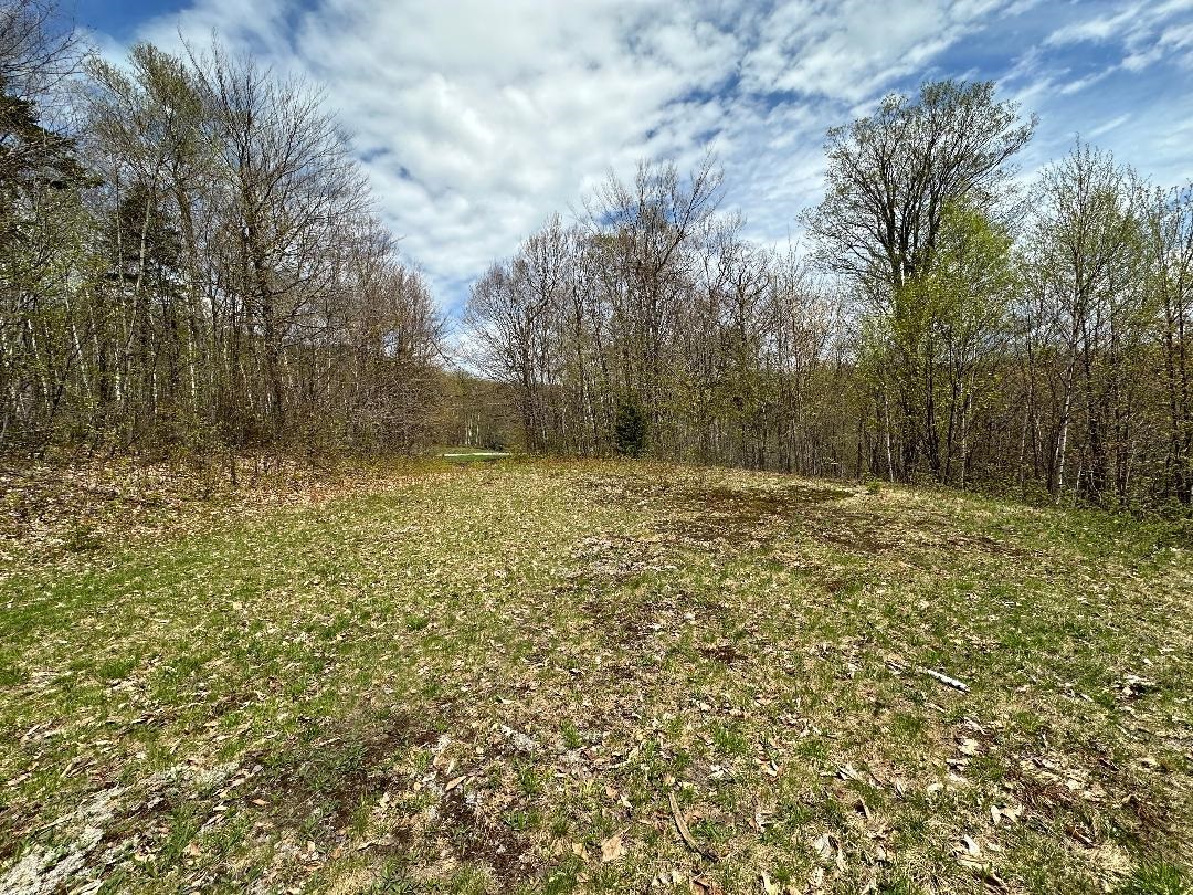 00 Robinson Springs Road Property Photo 16