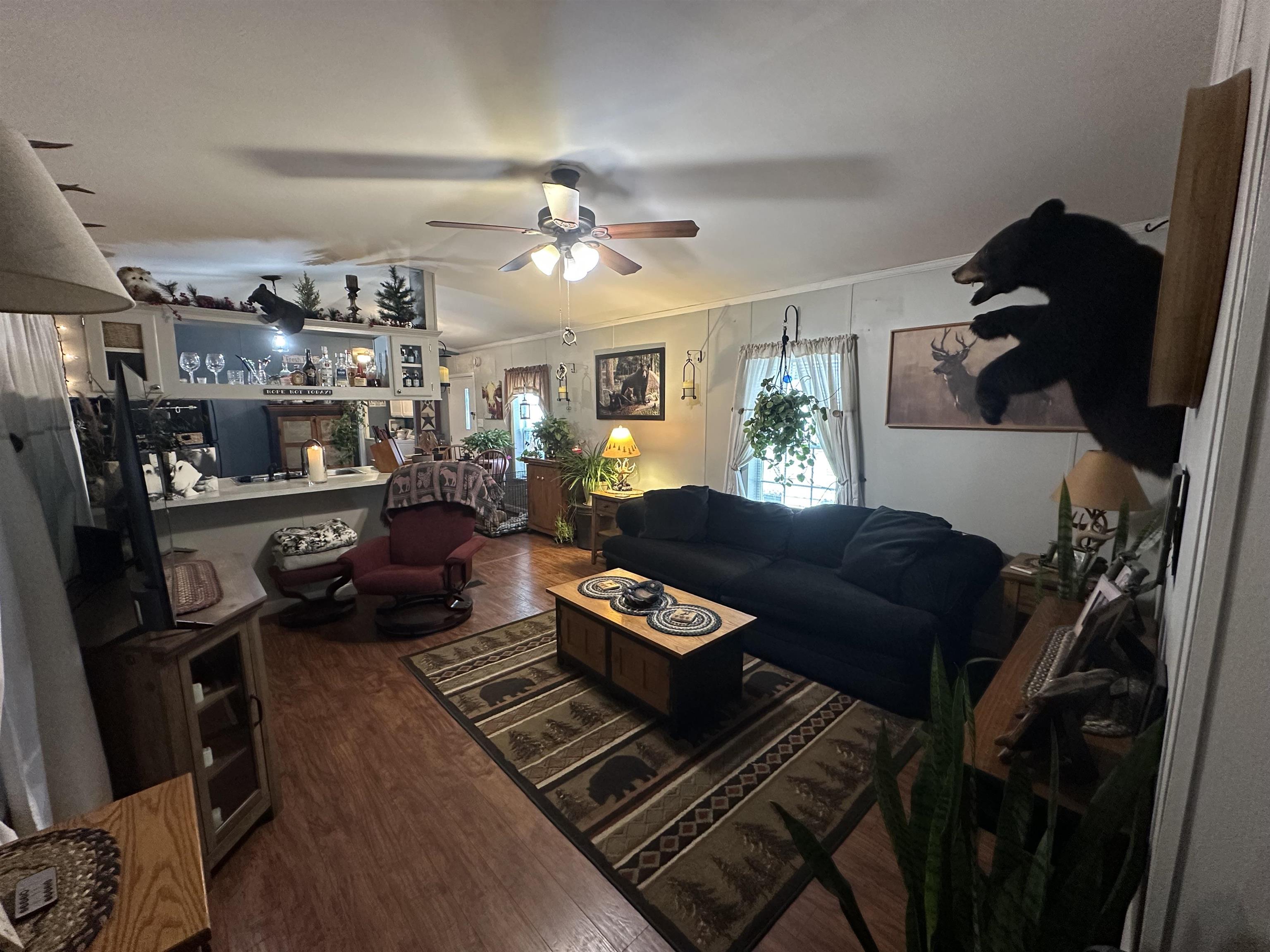 18 Pine Street Property Photo 4