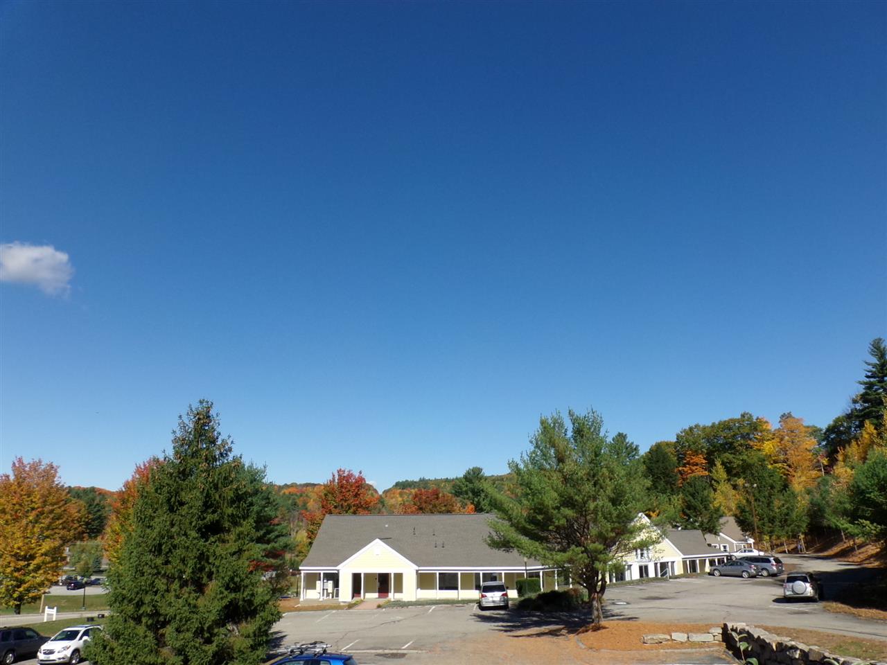 401 Gilford Avenue Property Photo 28