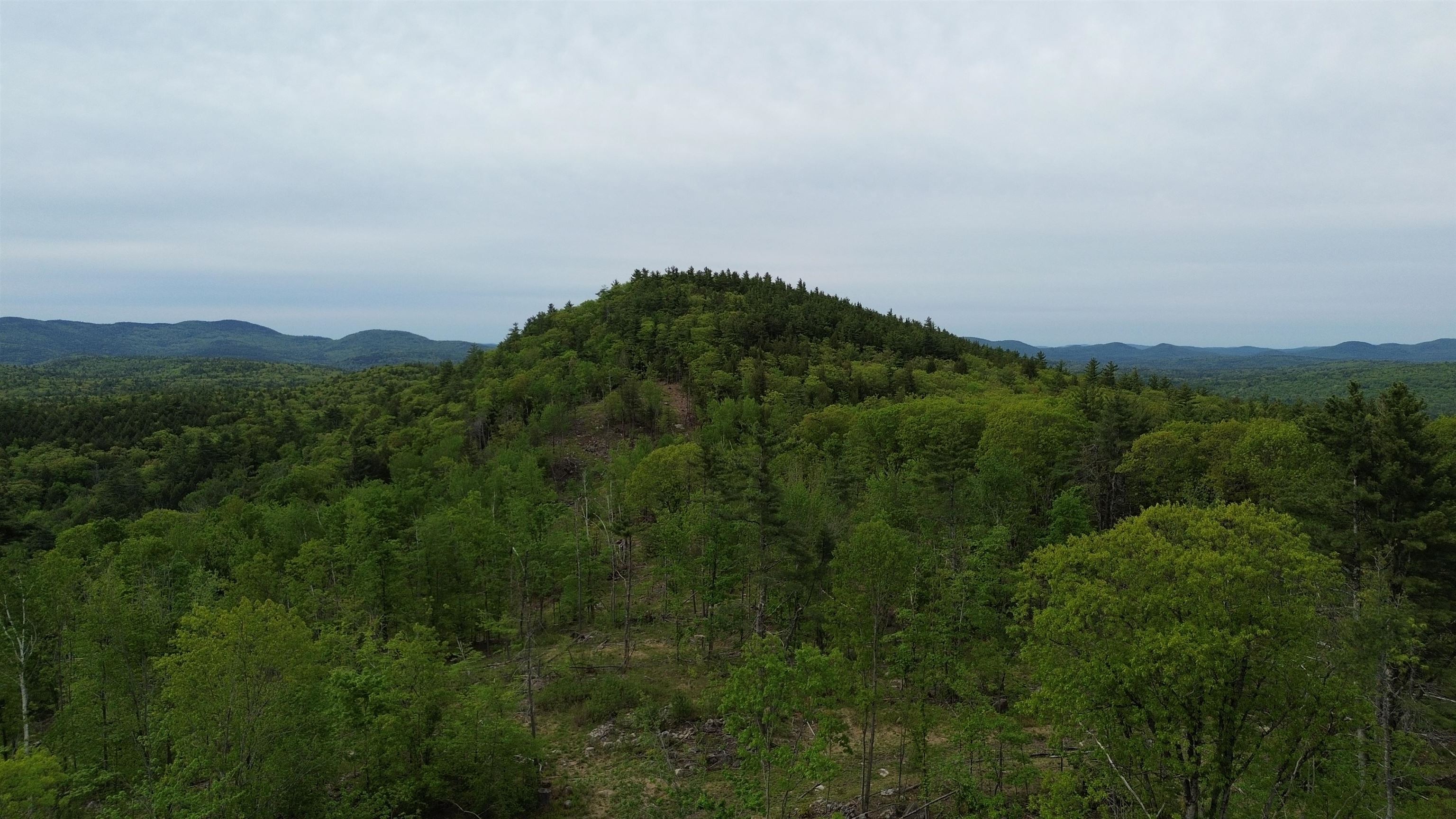 0 Pound Road Property Photo 1