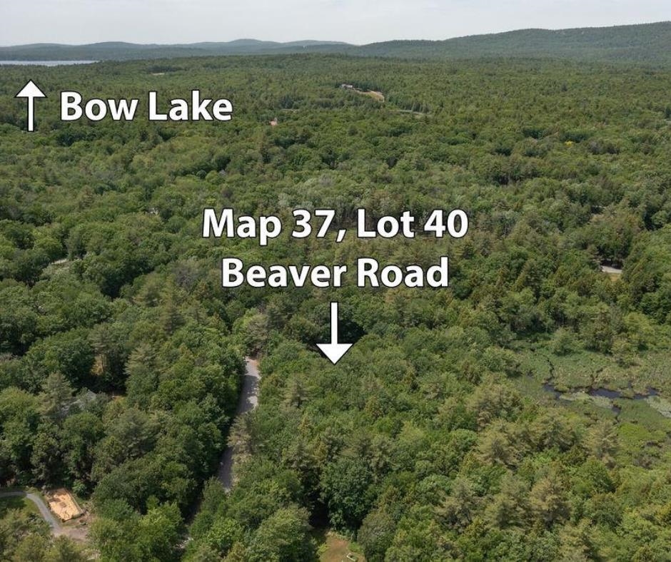 M37 L40 Beaver Road